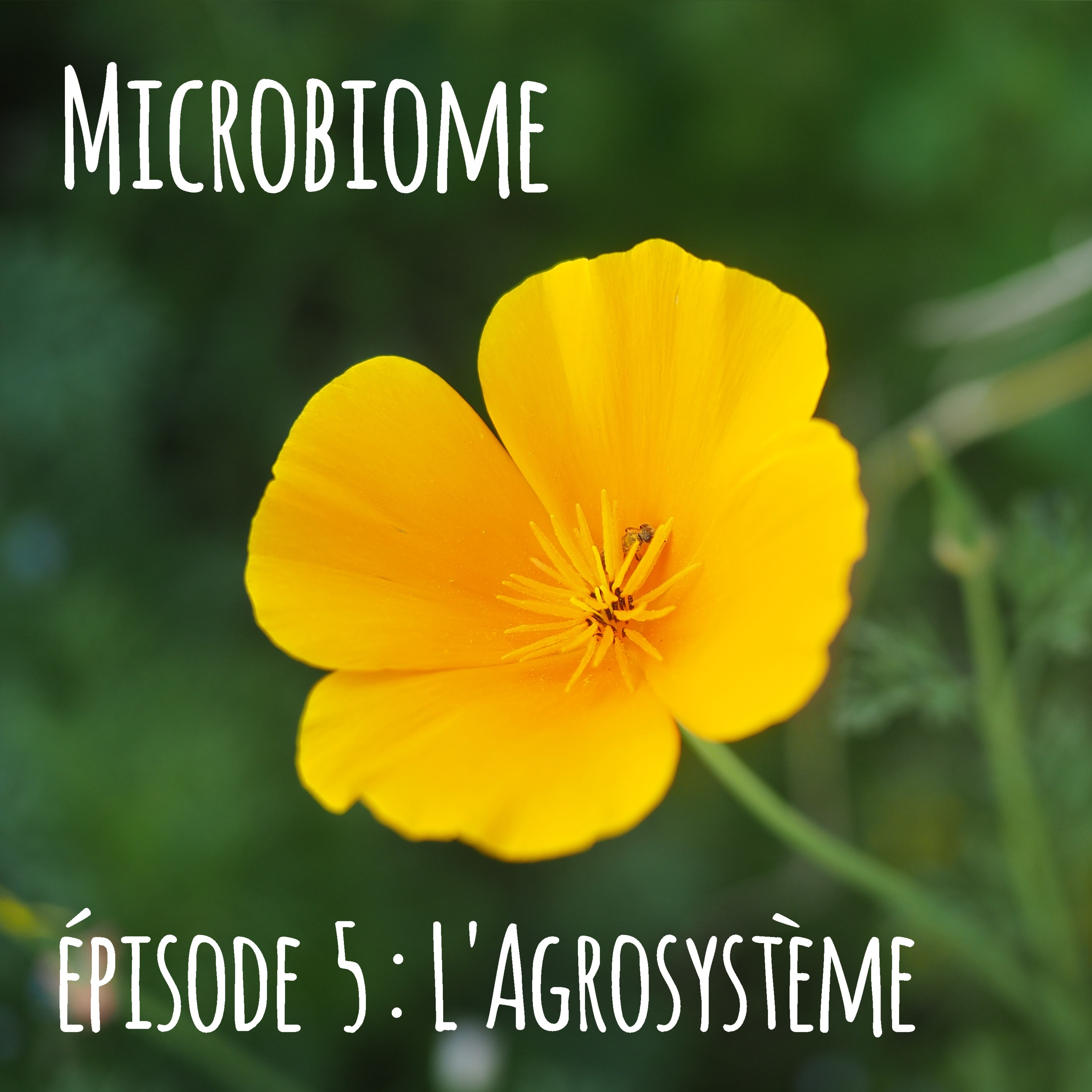Microbiome - épisode 5 : l'agrosystème episode artwork