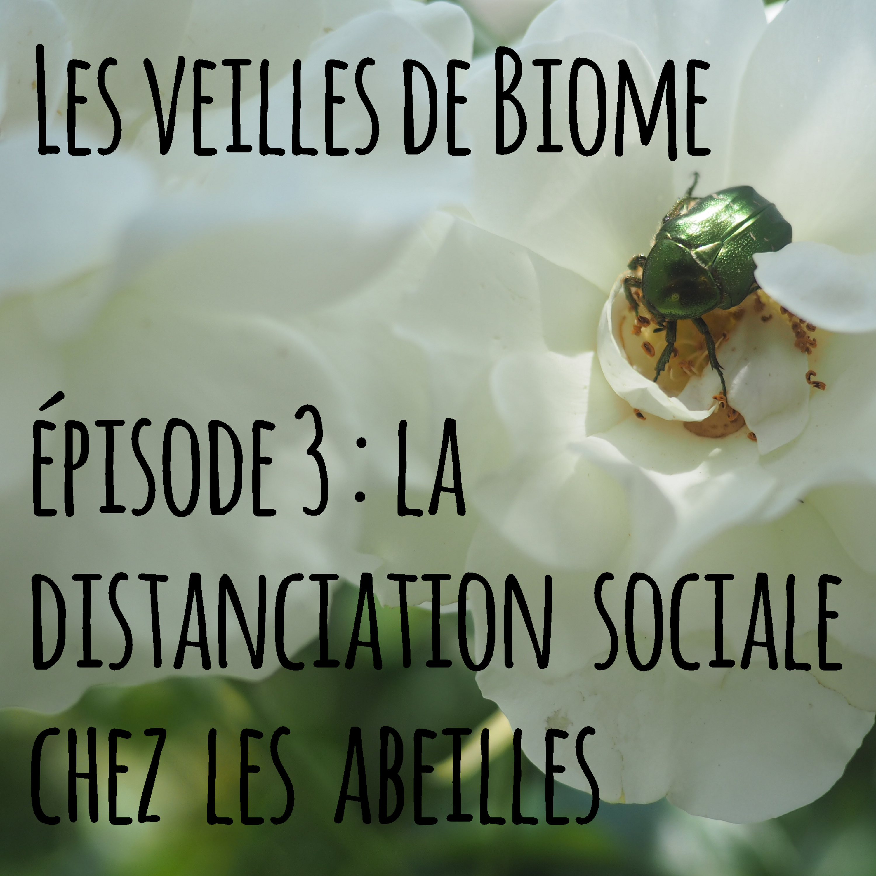 Biome