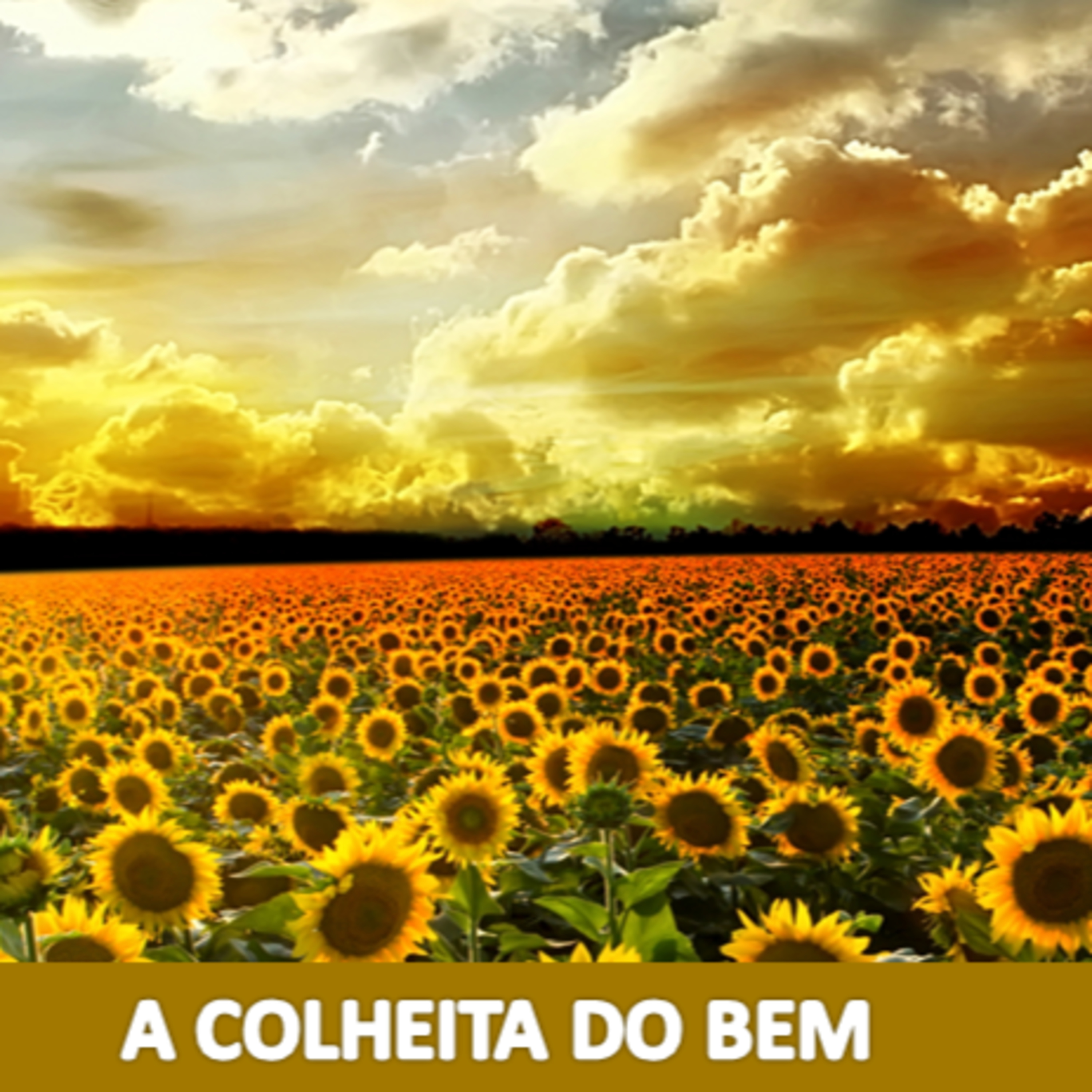 MOTIVAÇÃO E TRANSFORMAÇÃO COM ELIANA BARBOSA