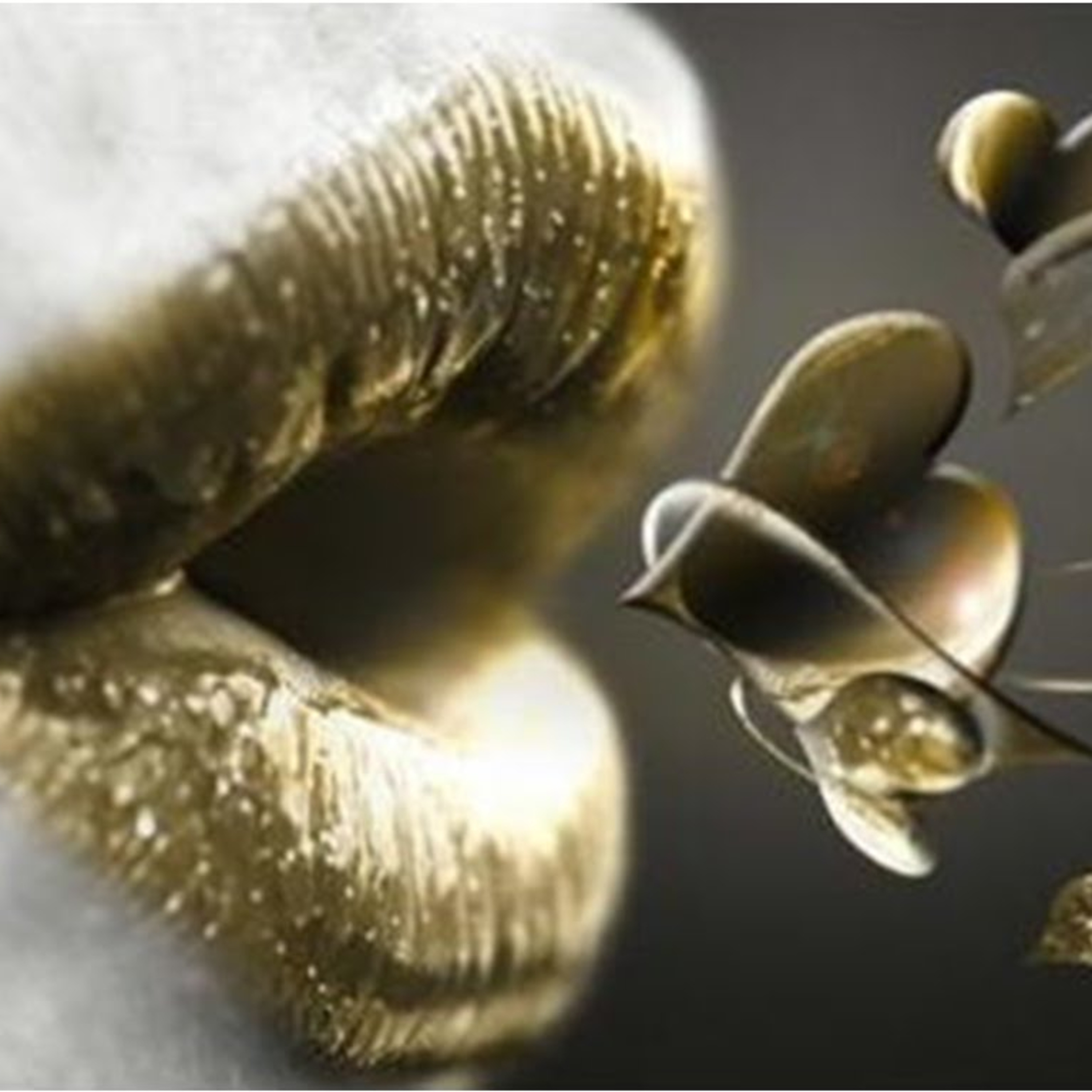 MOTIVAÇÃO E TRANSFORMAÇÃO COM ELIANA BARBOSA