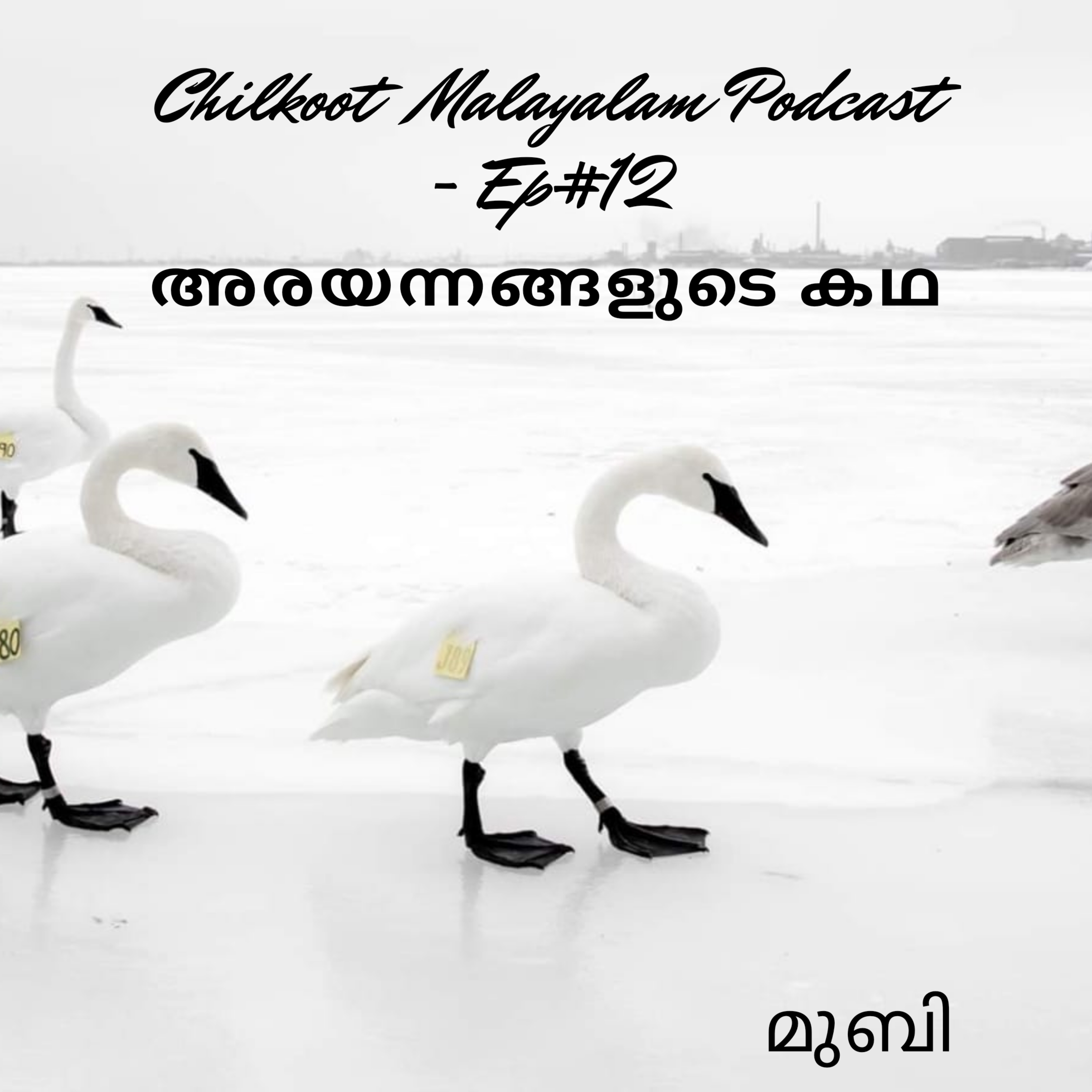 അരയന്നങ്ങളുടെ കഥ  episode artwork