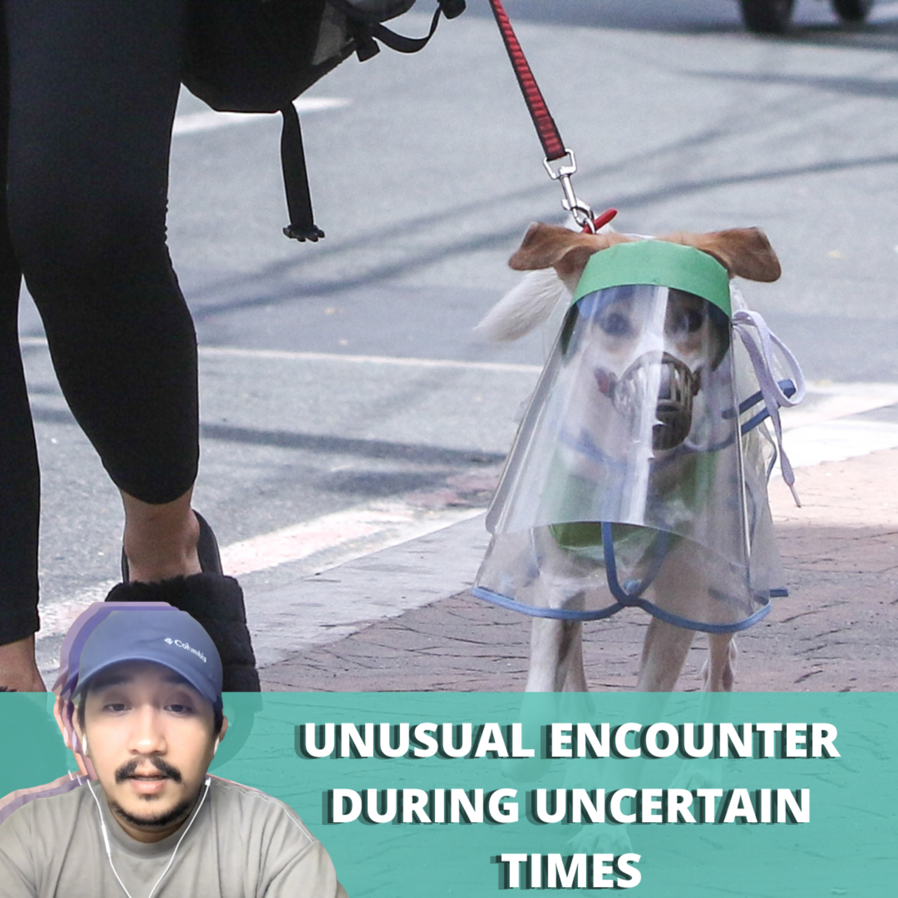 Unusual encounter during uncertain times | Ch.5 Lockdown Lifestyle | Page 101 episode artwork