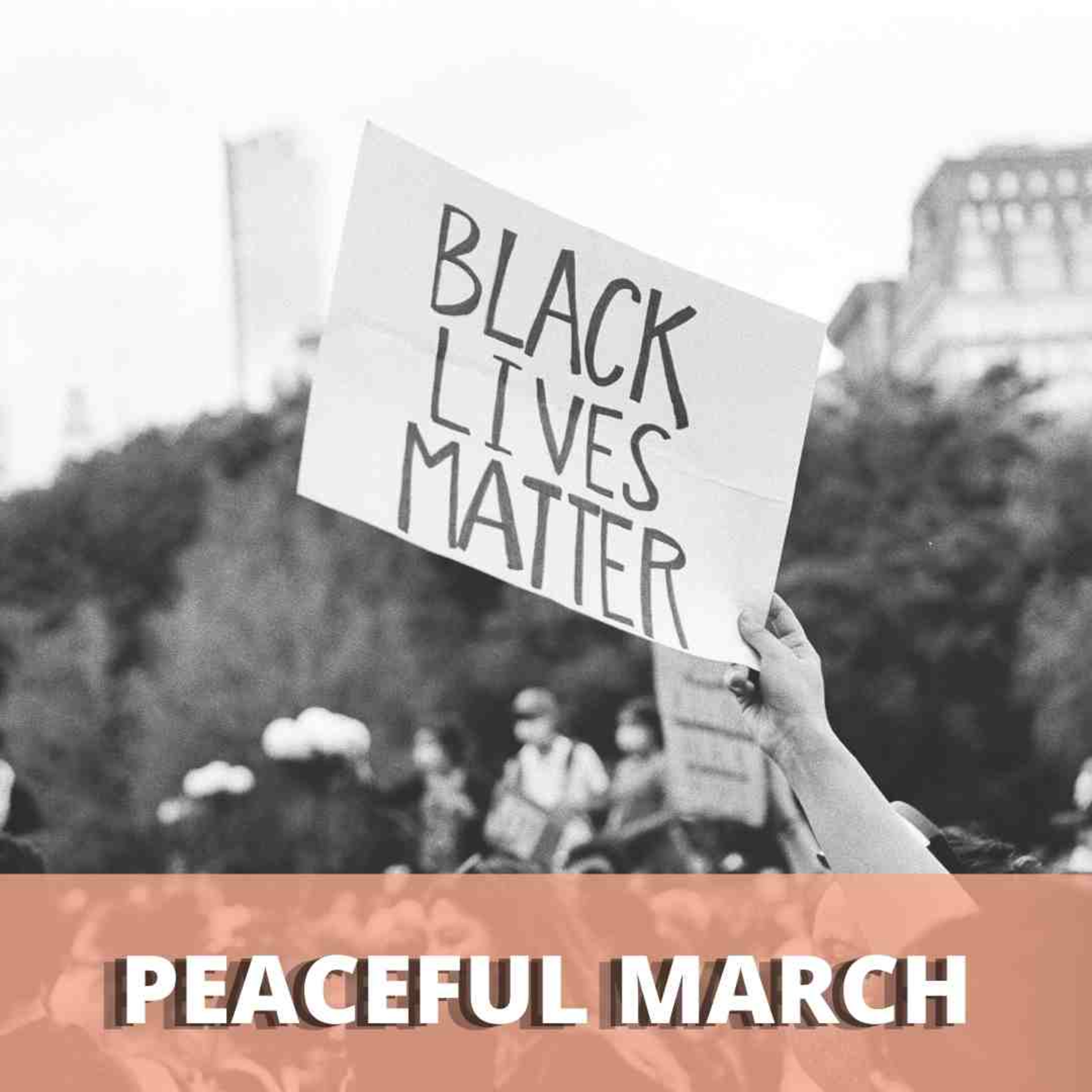 Peaceful march | Ch.10 Signs of Change | Page. 170 | Photographer Olivia Cadwell episode artwork