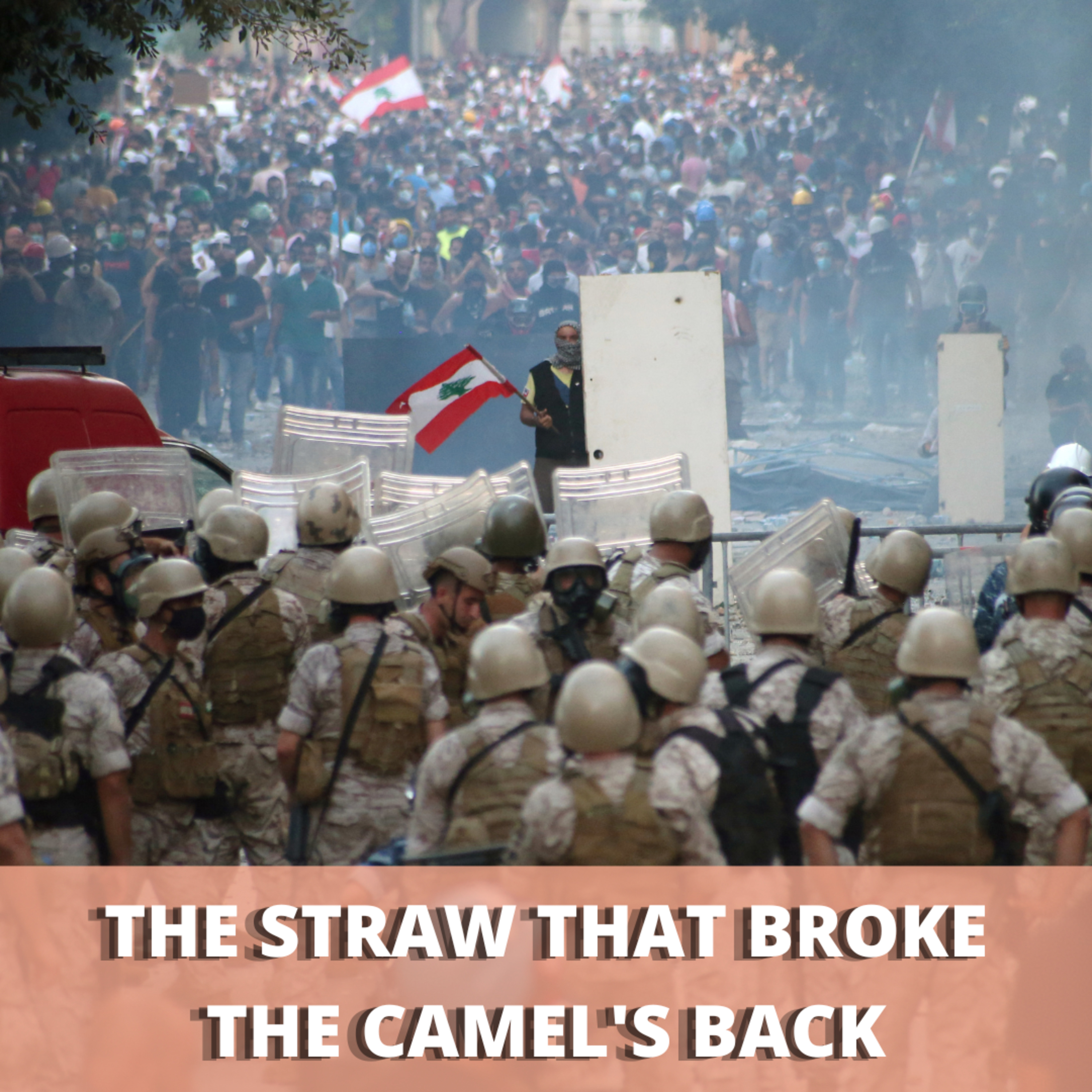 The Straw that Broke the Camel's Back | Ch. Breaking Point | Page. 205 | Photographer Ramzi Haidar episode artwork