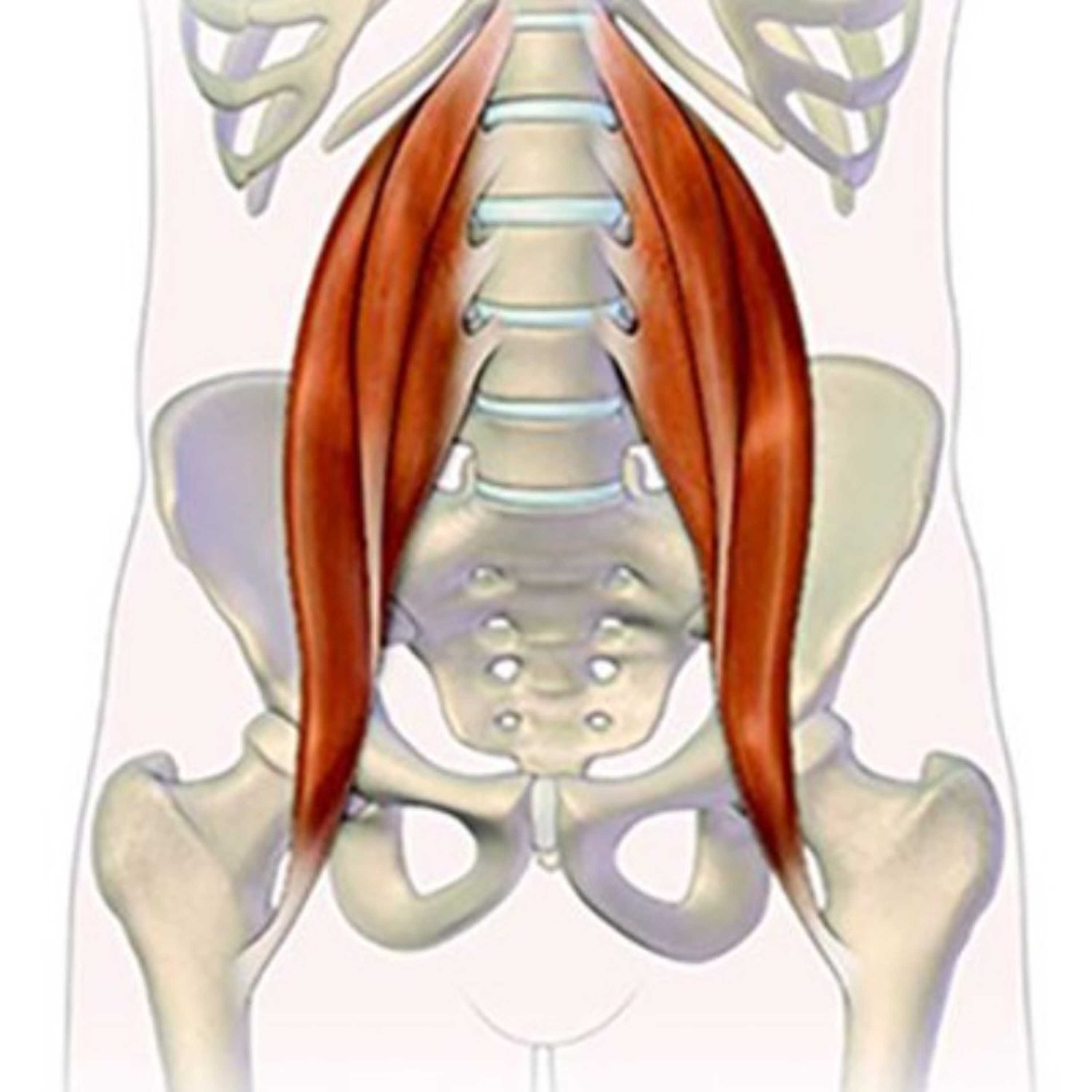 Psoas iliaco episode artwork