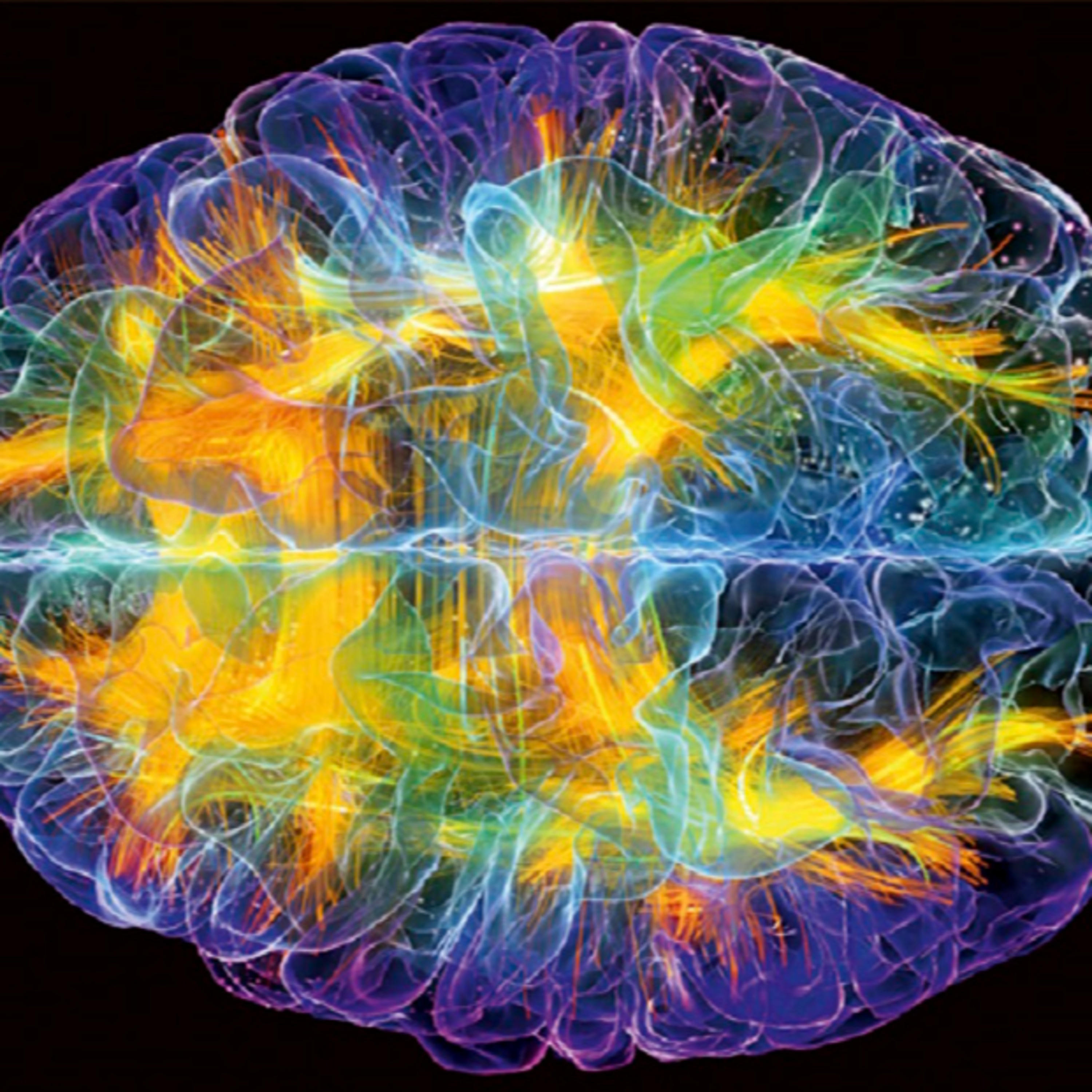 Plasticidad Neuronal  episode artwork