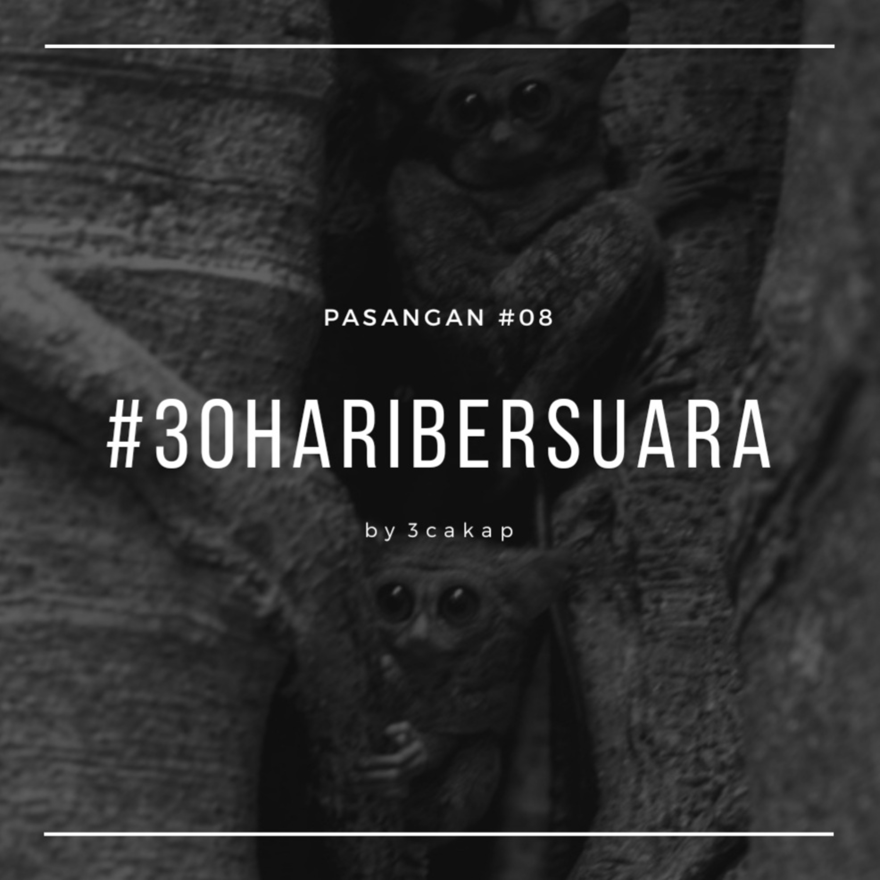 08 - Pasangan #30HariBersuara episode artwork