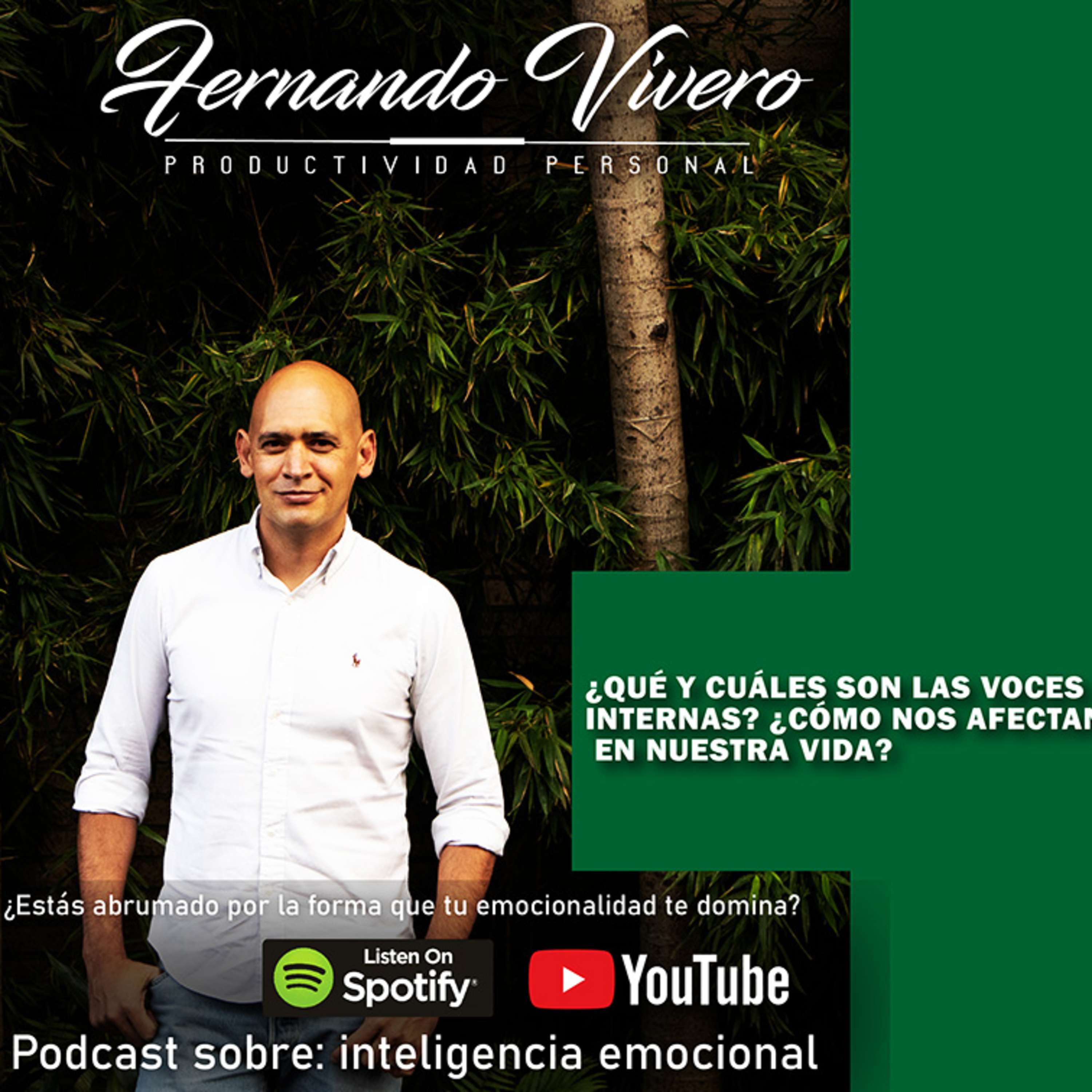 Maximiza tu Productividad Personal: Podcast sobre Inteligencia Emocional