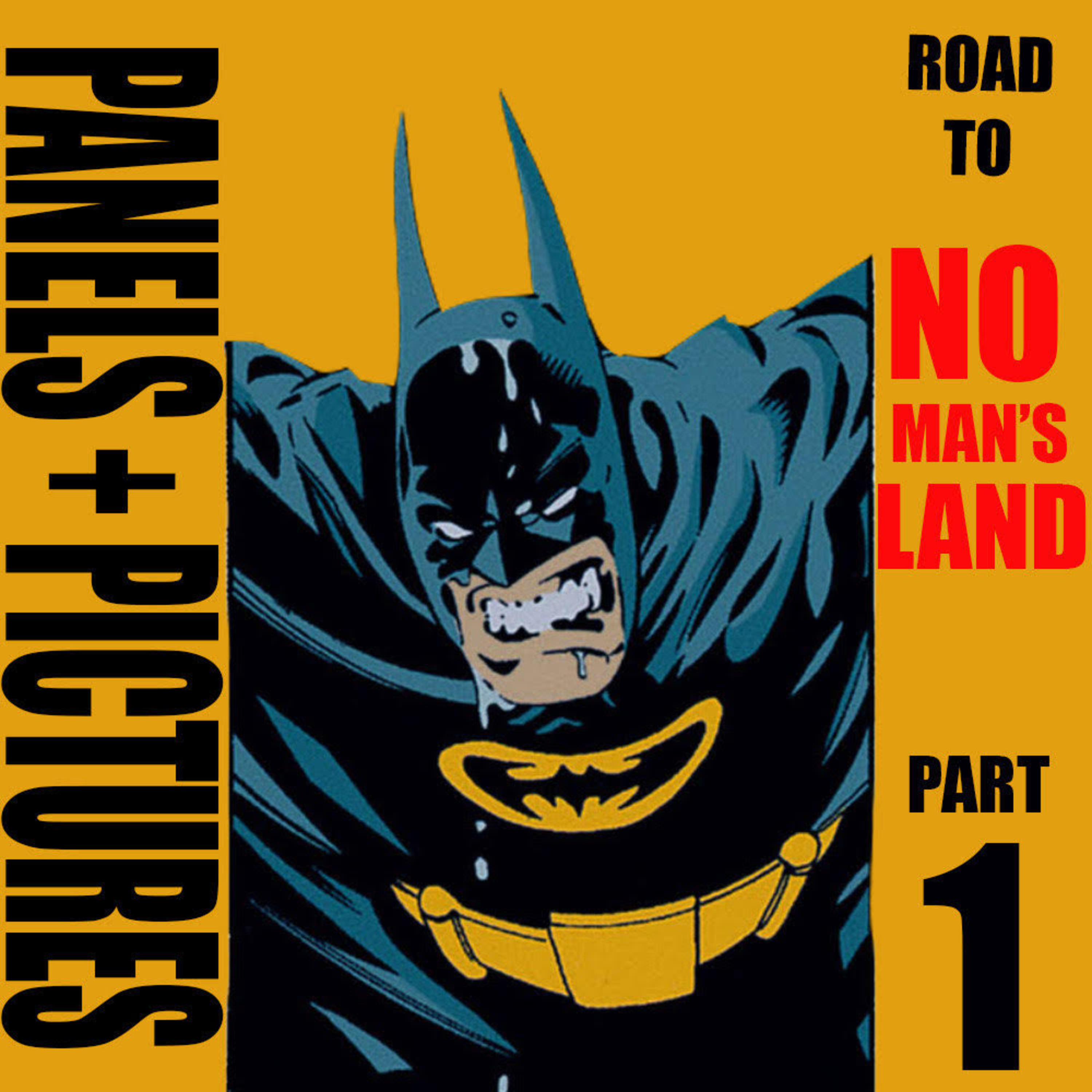 Panels and Pictures