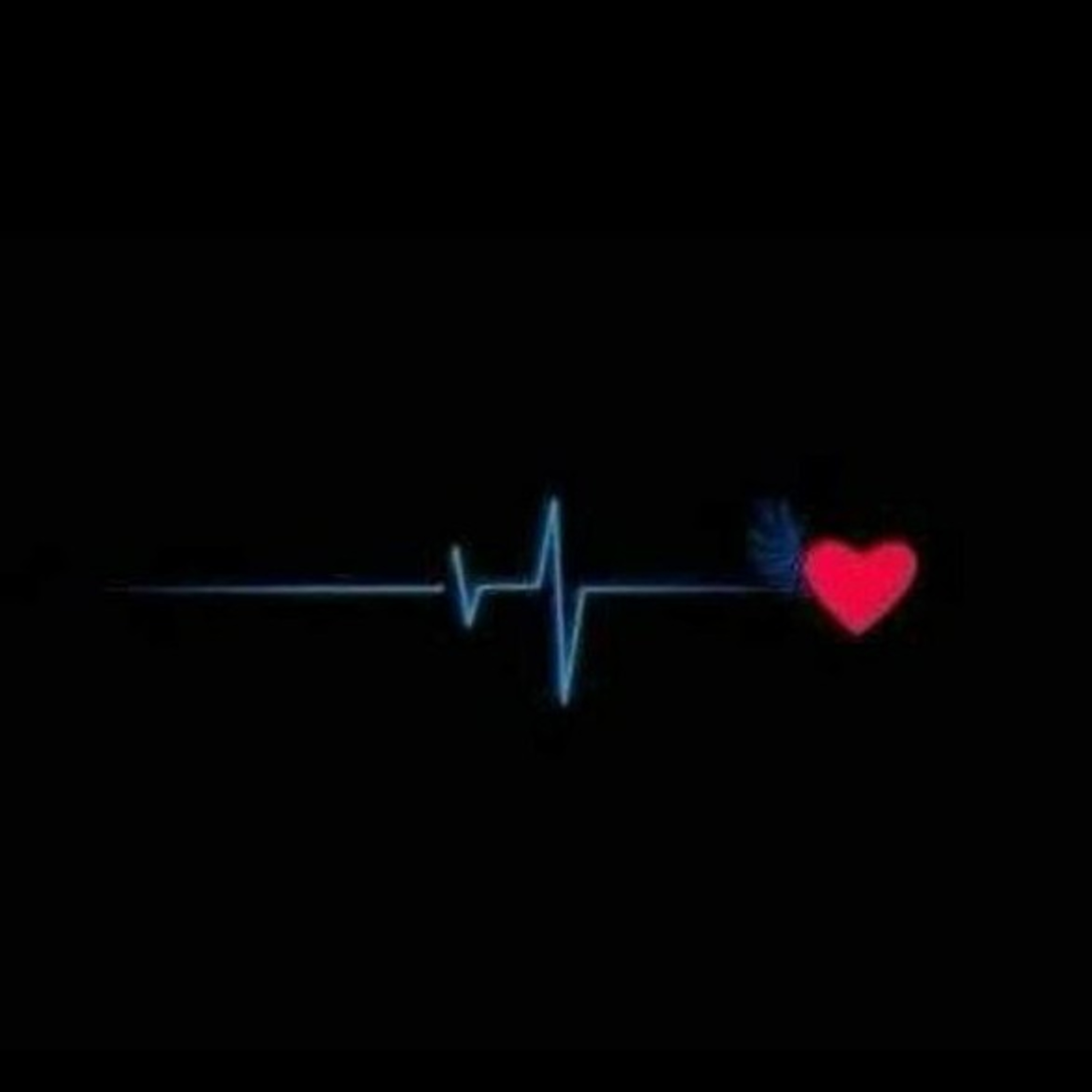 Any Amaral
