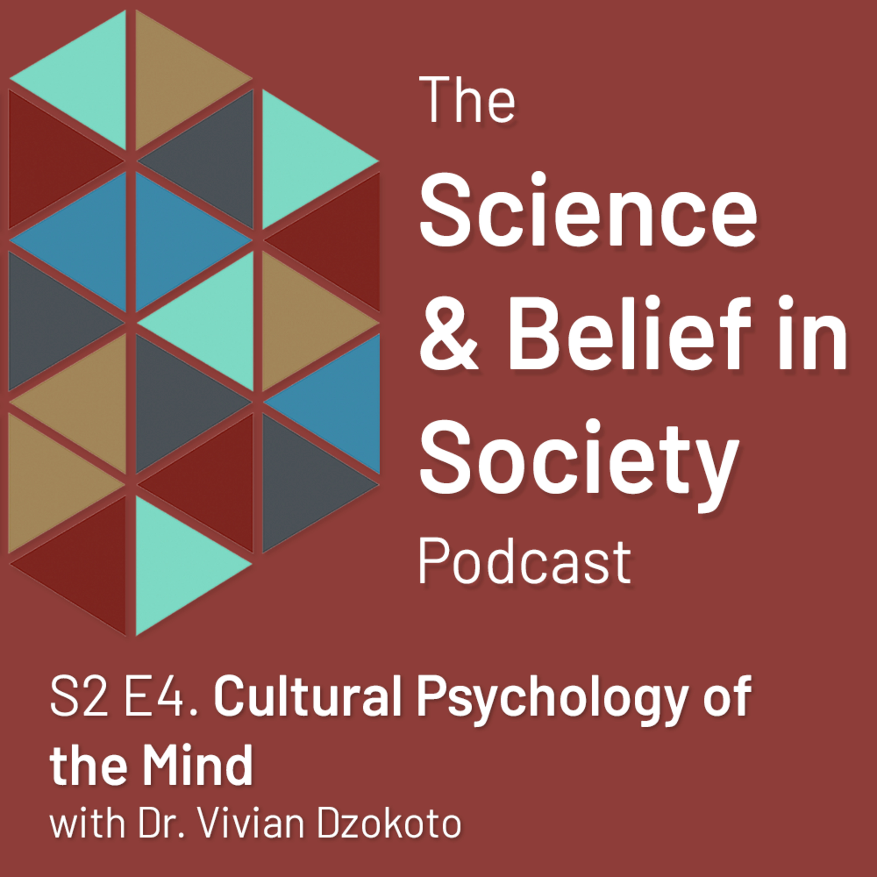 Cultural Psychology of the Mind with Dr. Vivian Dzokoto episode artwork