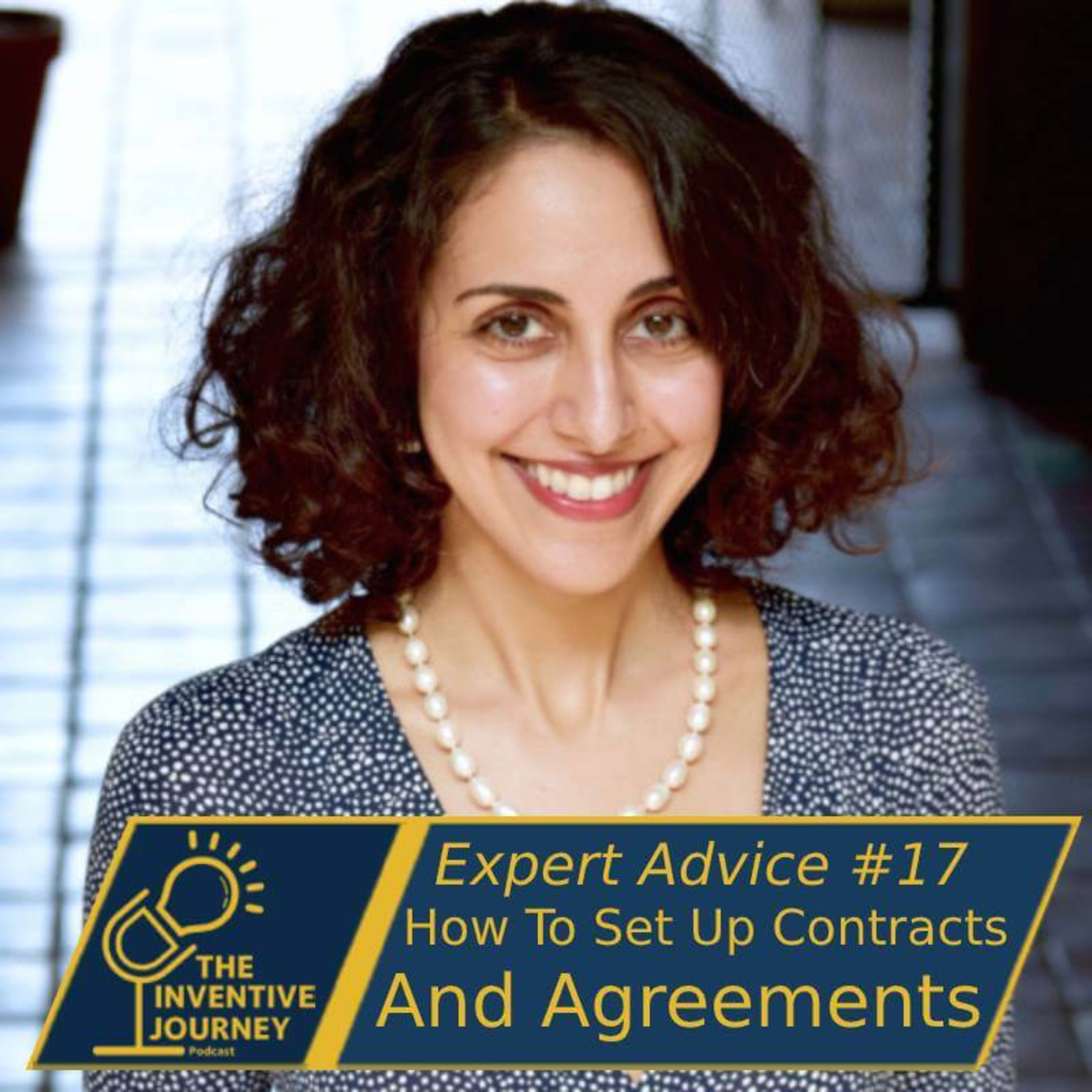 "How To Set Up Contracts and Agreements " Expert Advice For Entrepreneurs w/Morvareed Salehpour episode artwork