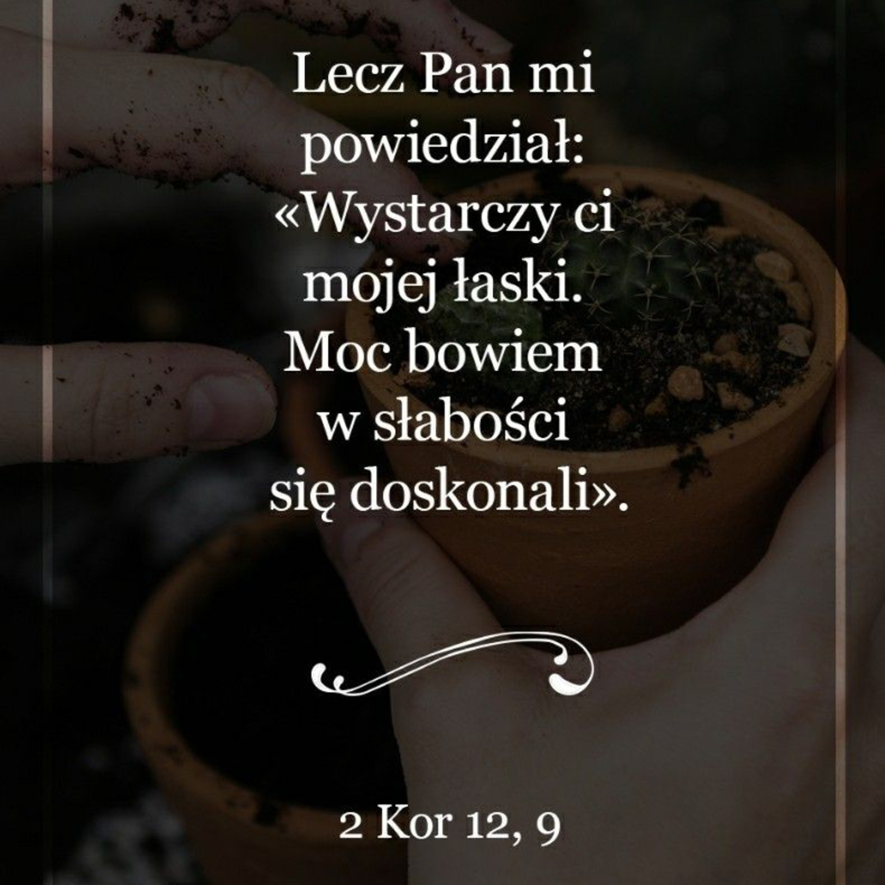 Homilie i kazania