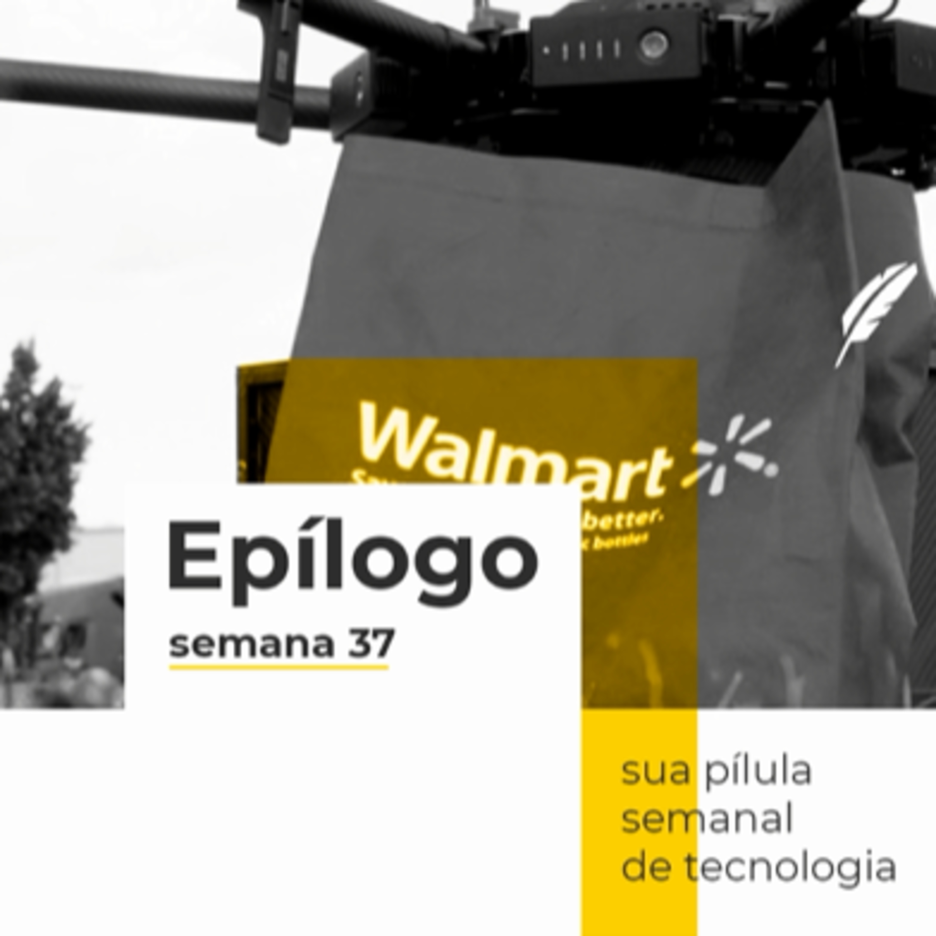 Epílogo
