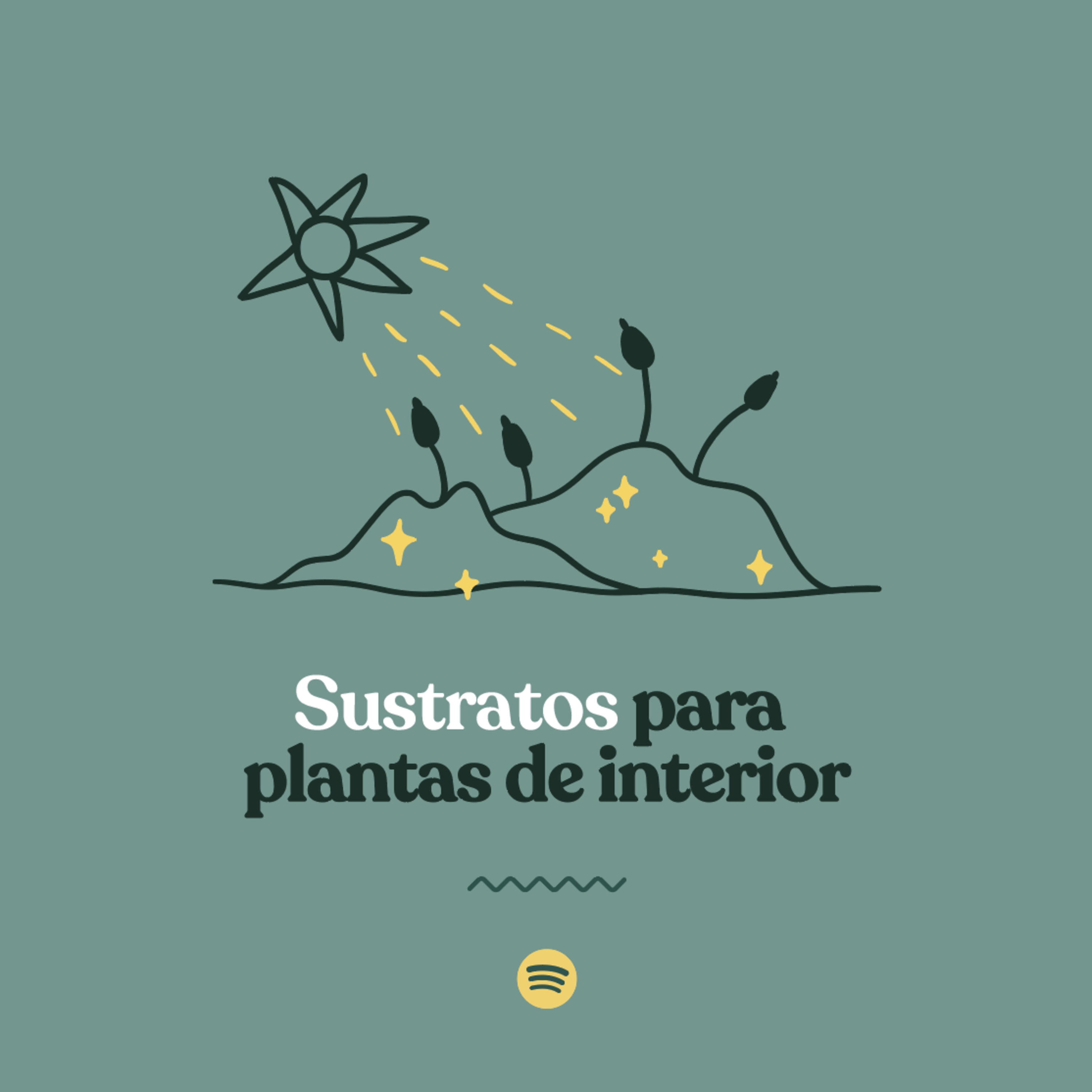 Sustratos para plantas de interior