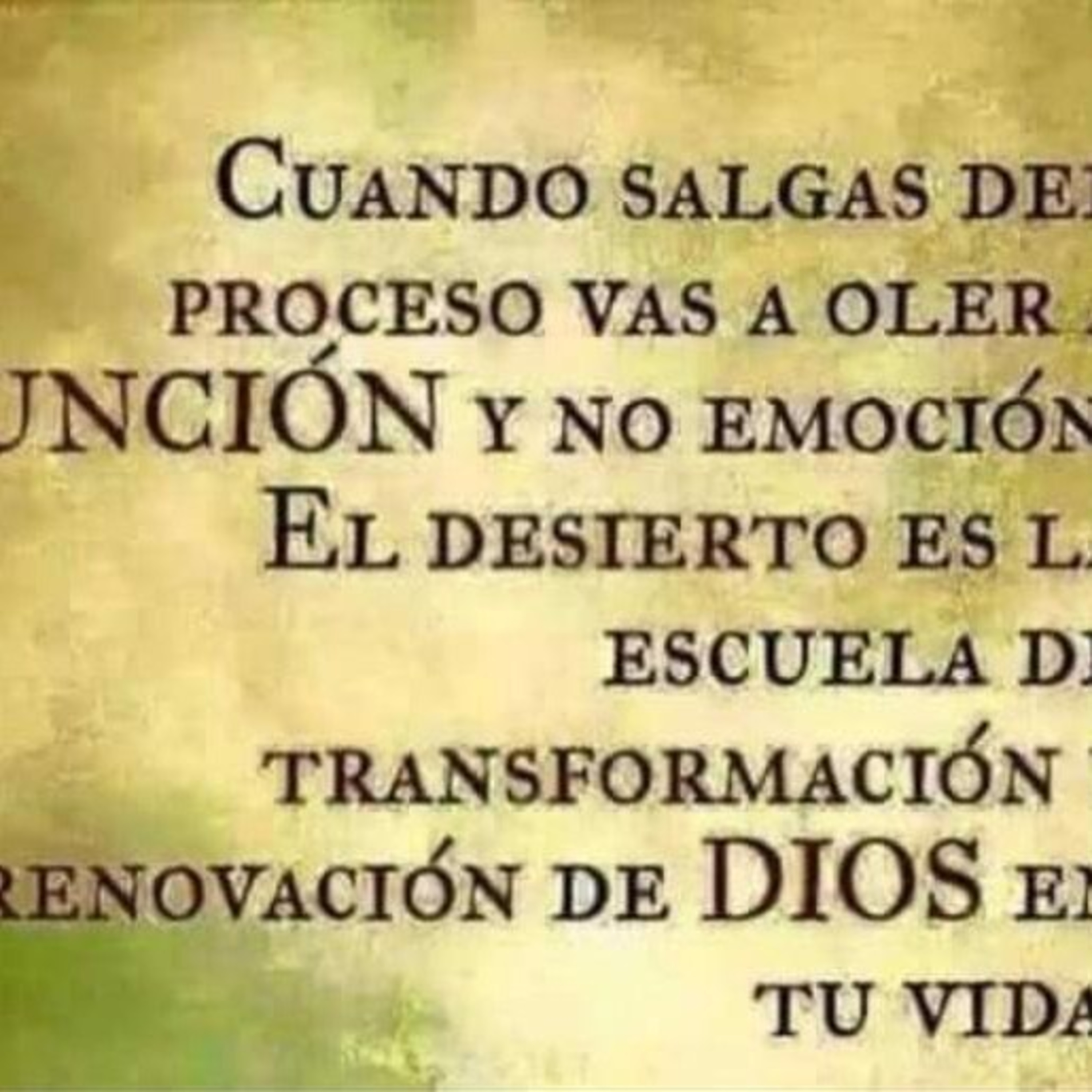 Mujer Con Propósito 🍃