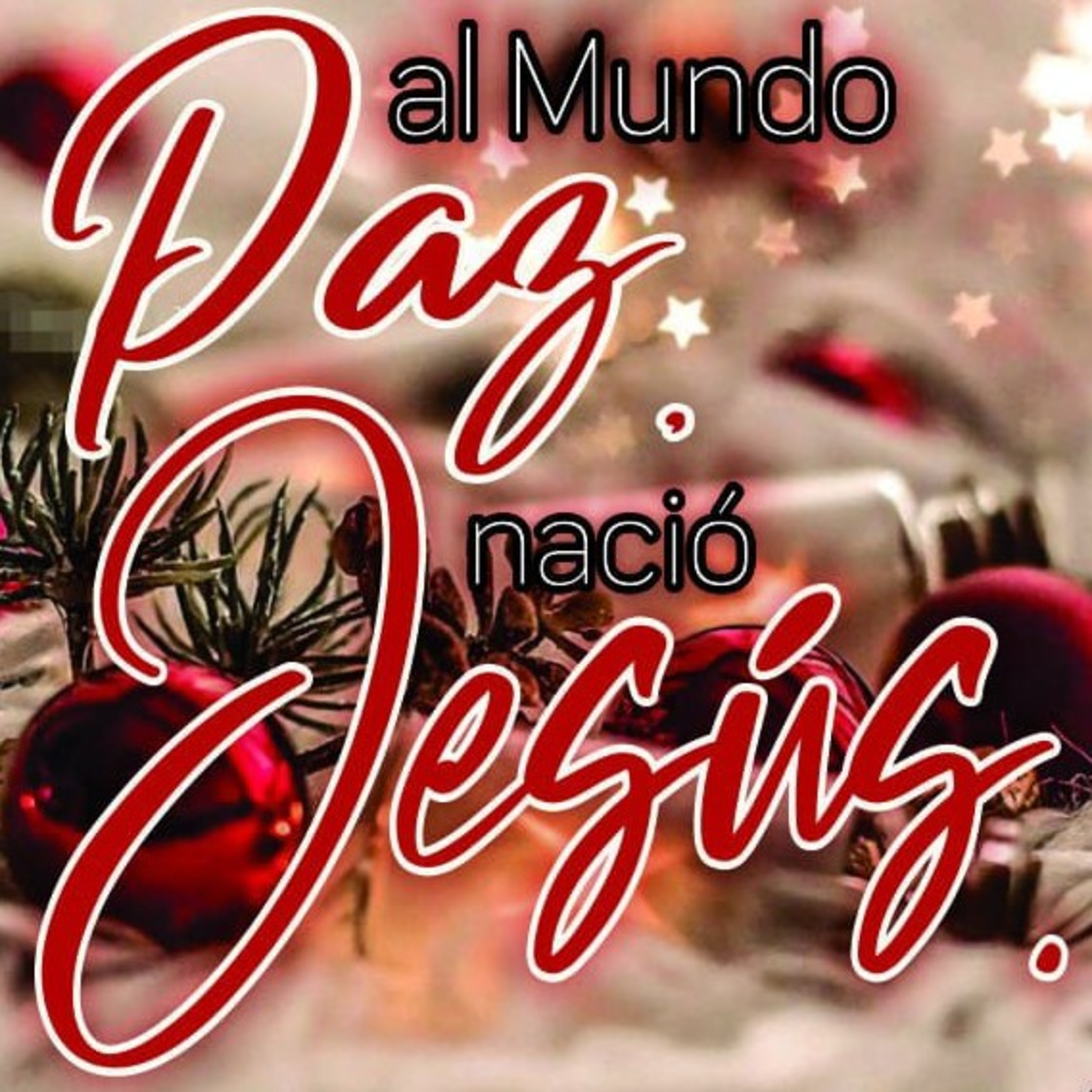Mujer Con Propósito 🍃
