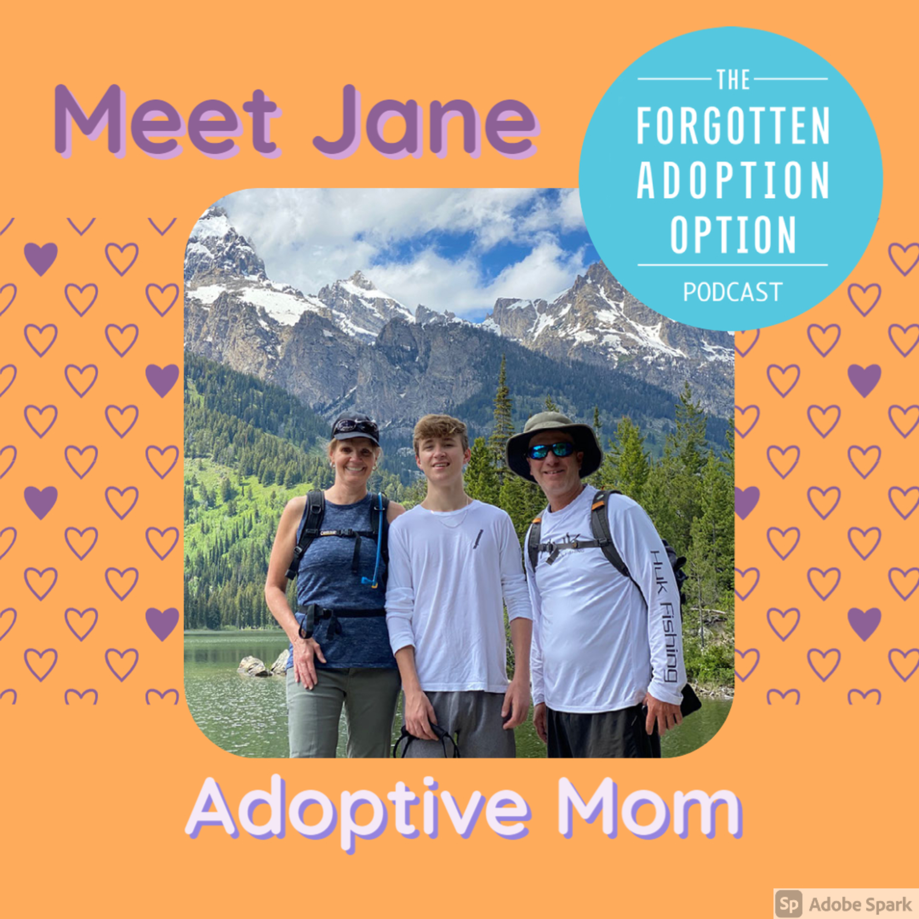 The Forgotten Adoption Option Podcast