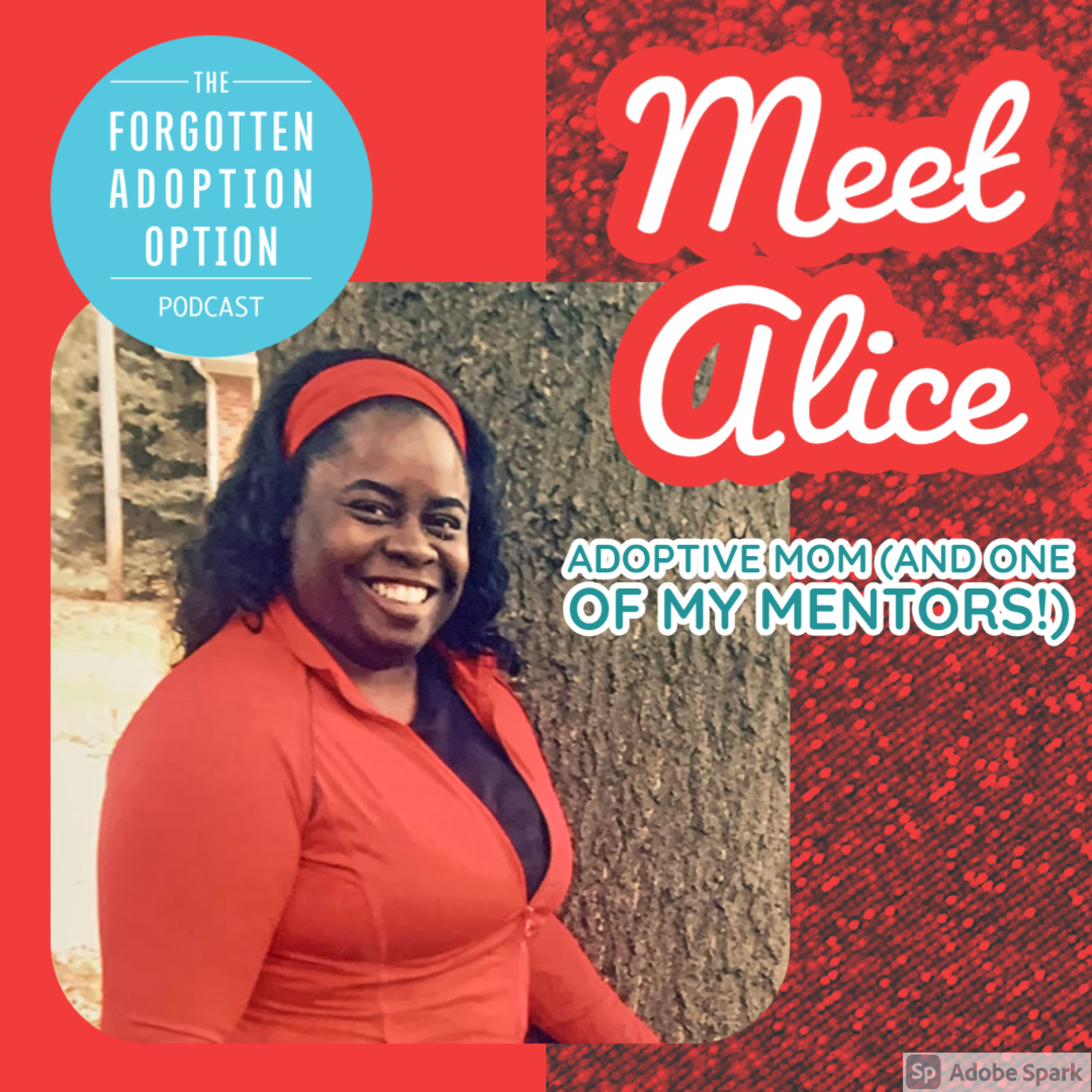 The Forgotten Adoption Option Podcast