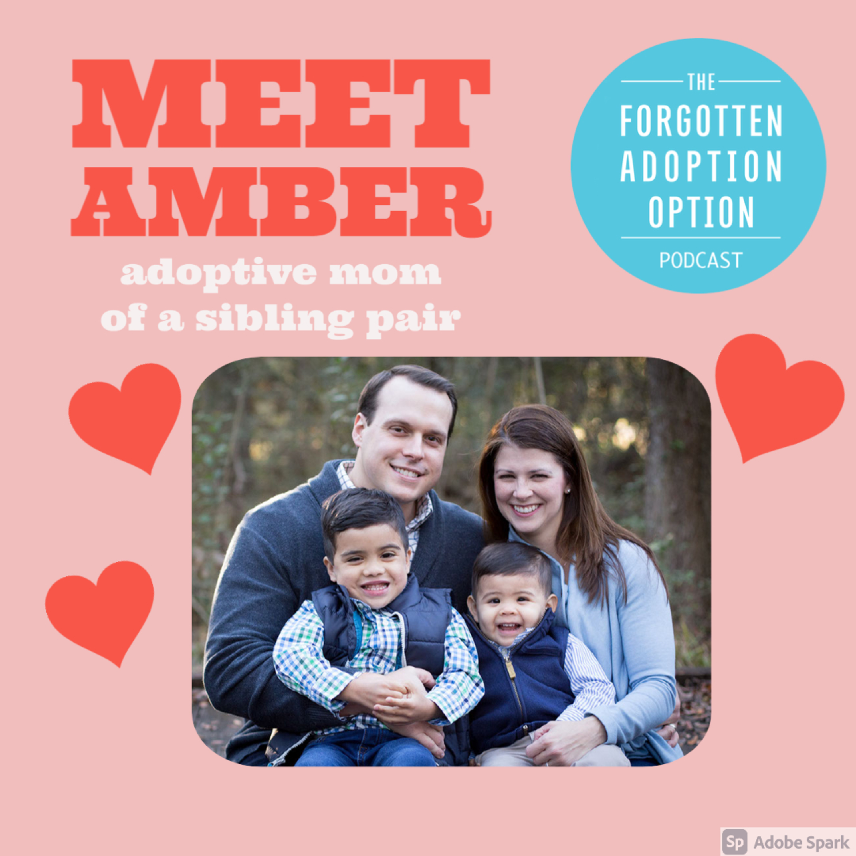 The Forgotten Adoption Option Podcast