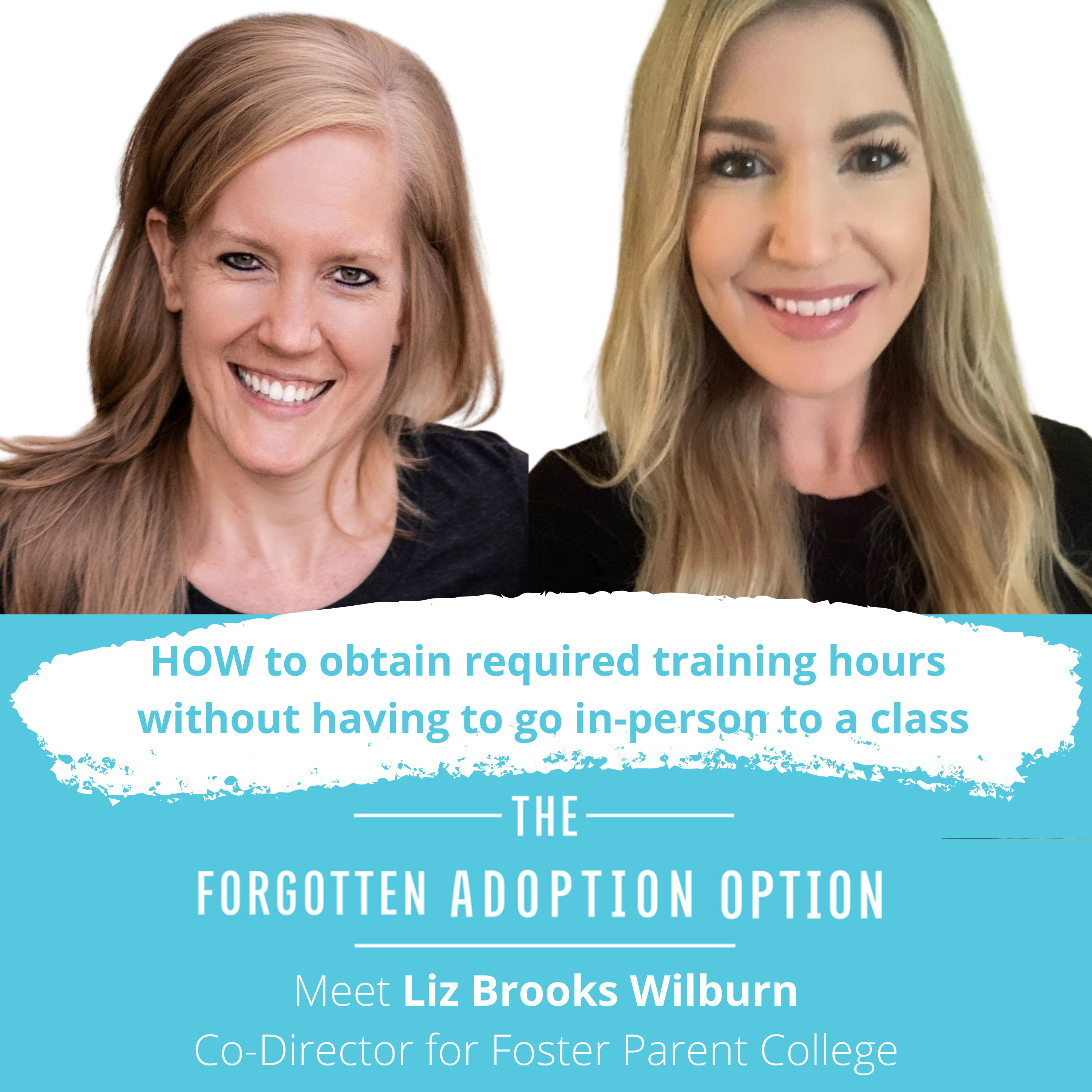 The Forgotten Adoption Option Podcast