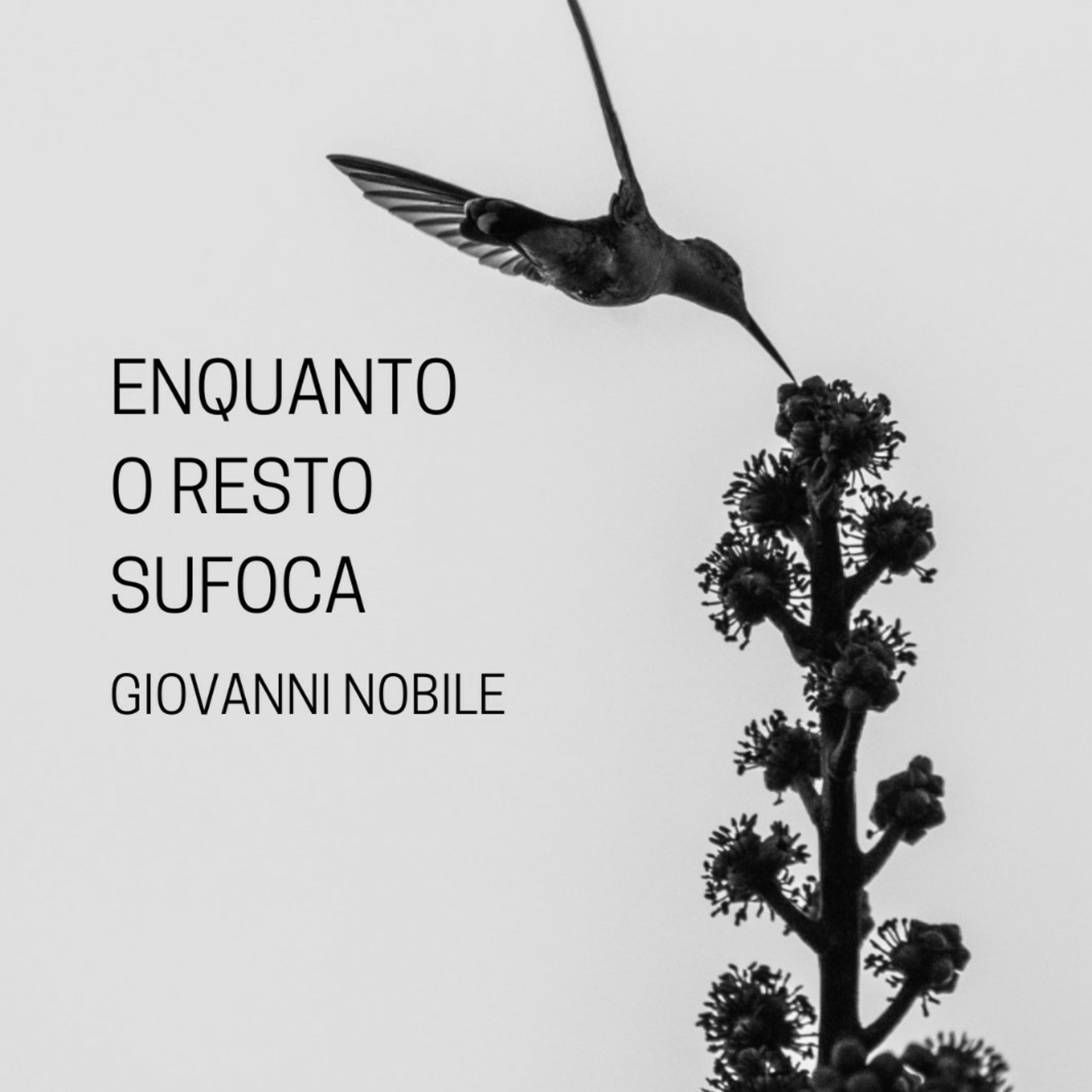 ENTREVISTANDO O AUTOR E JORNALISTA GIOVANNI NOBILE episode artwork