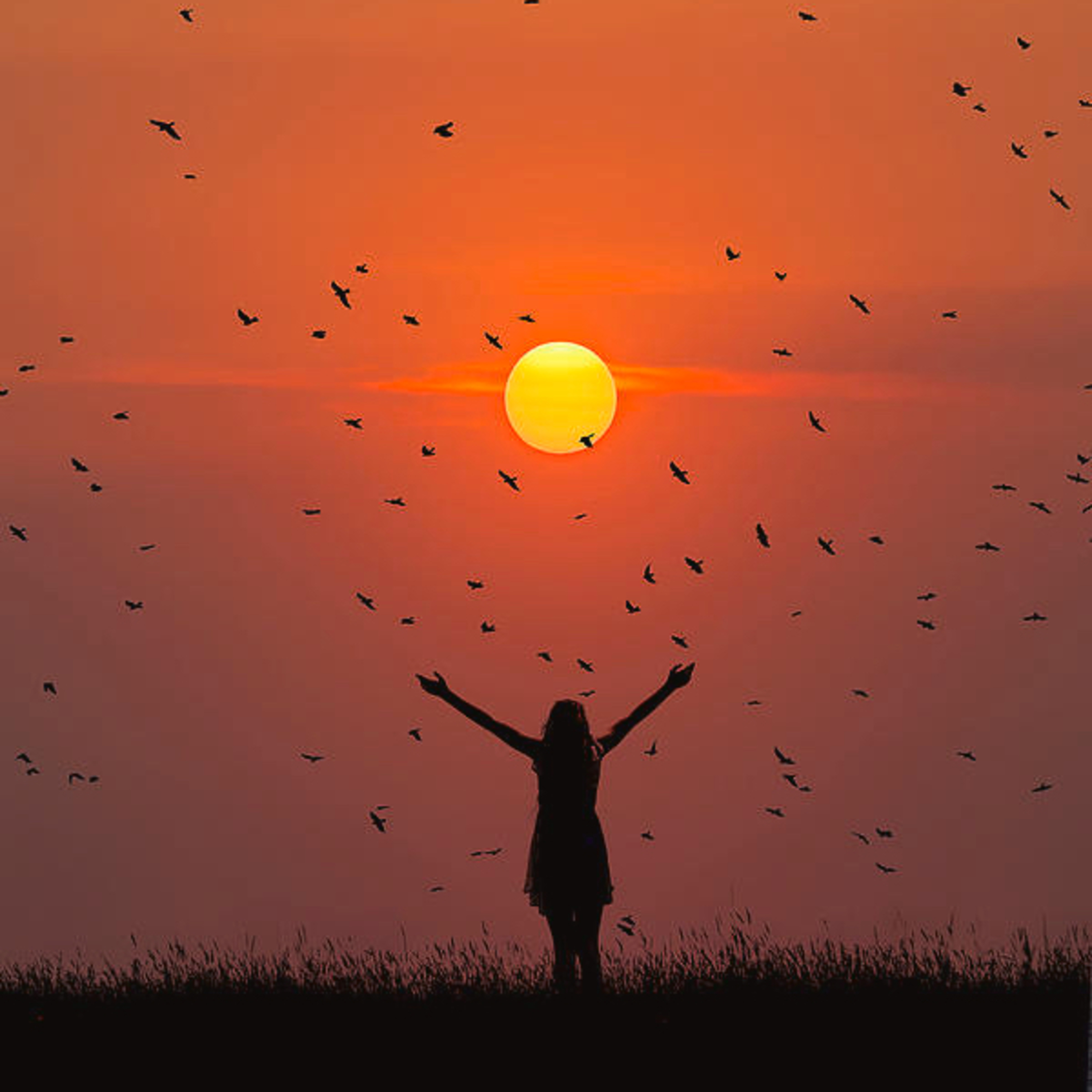 Get Out Of Your Own Way