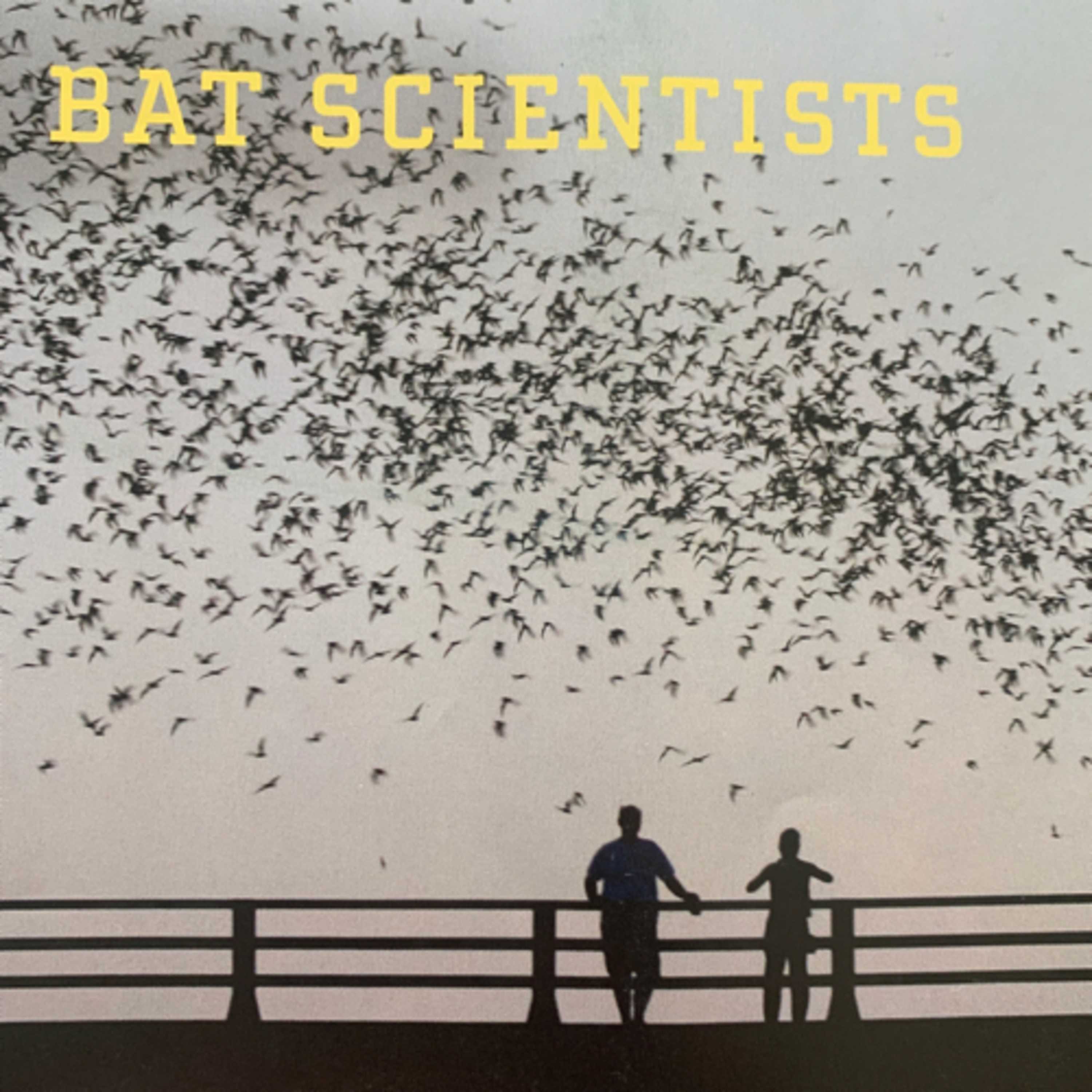 The Bat Scientists bat basics episode artwork