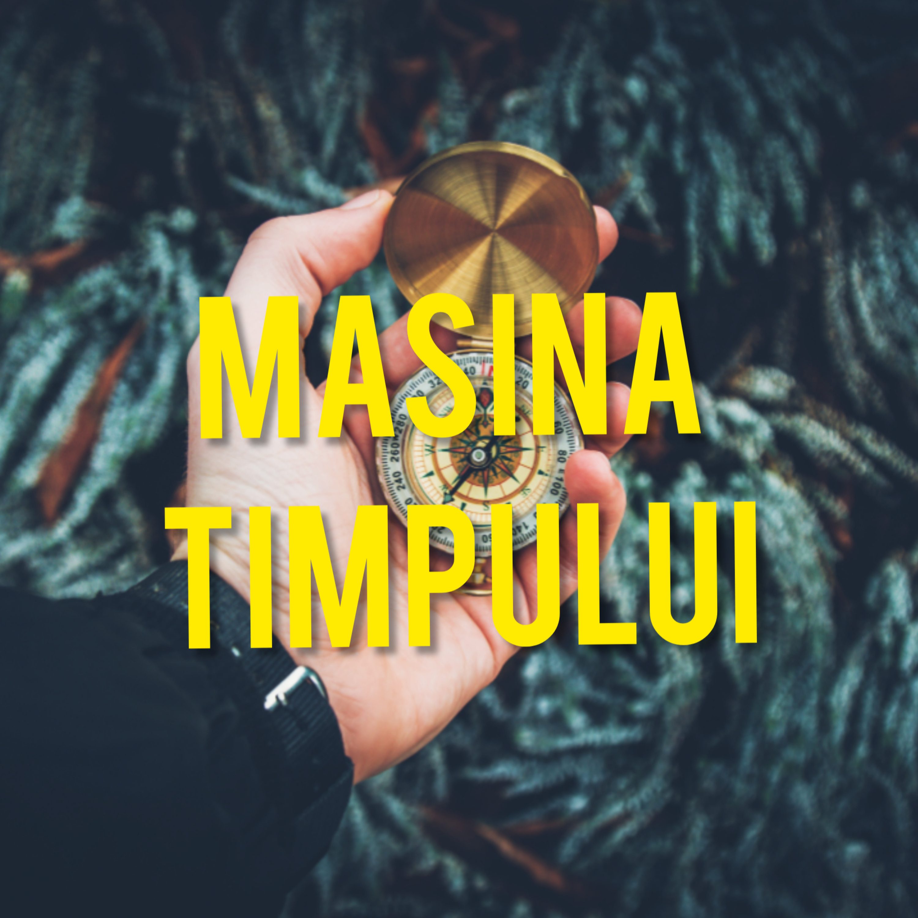 Am mai multe carti decat prieteni
