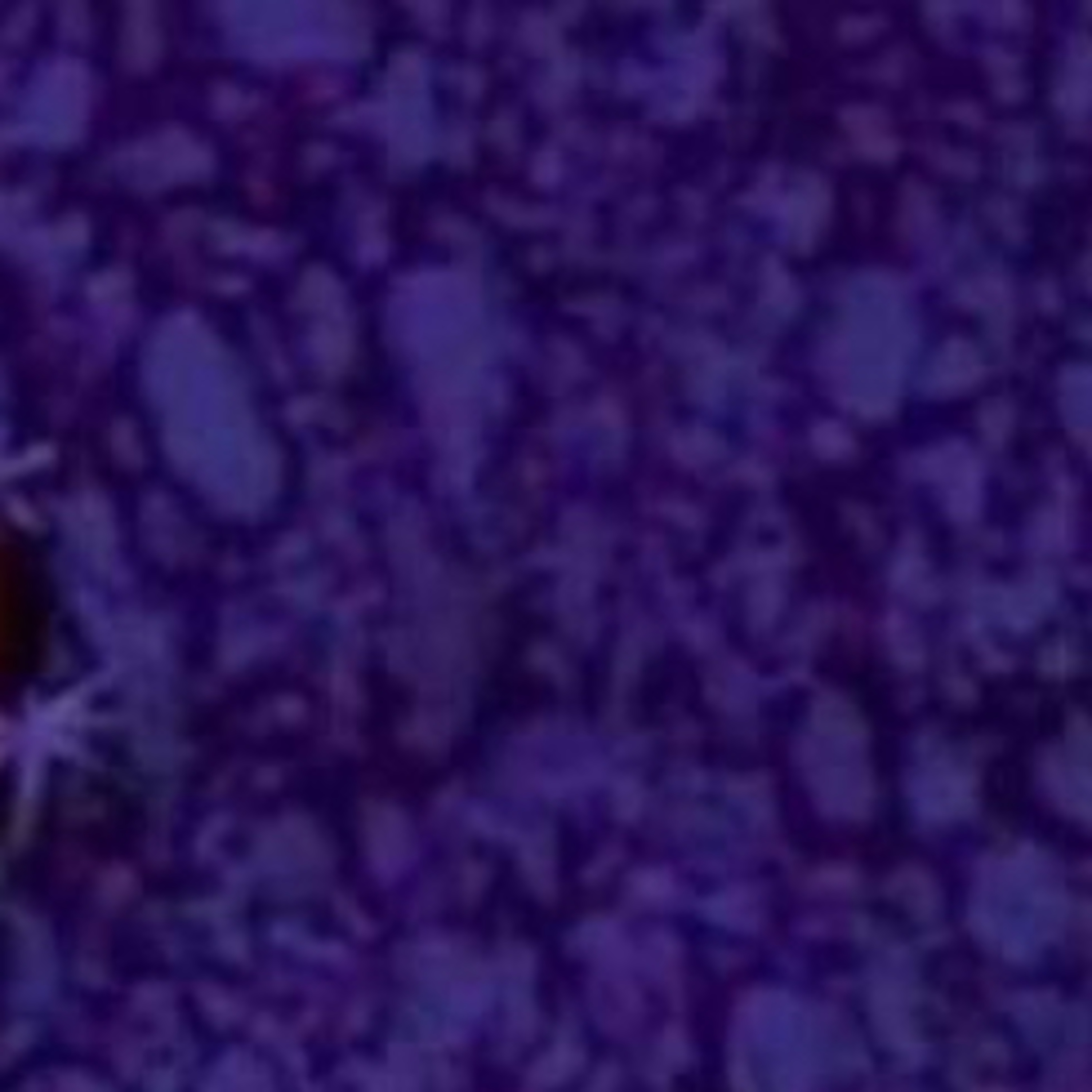 True love assignment