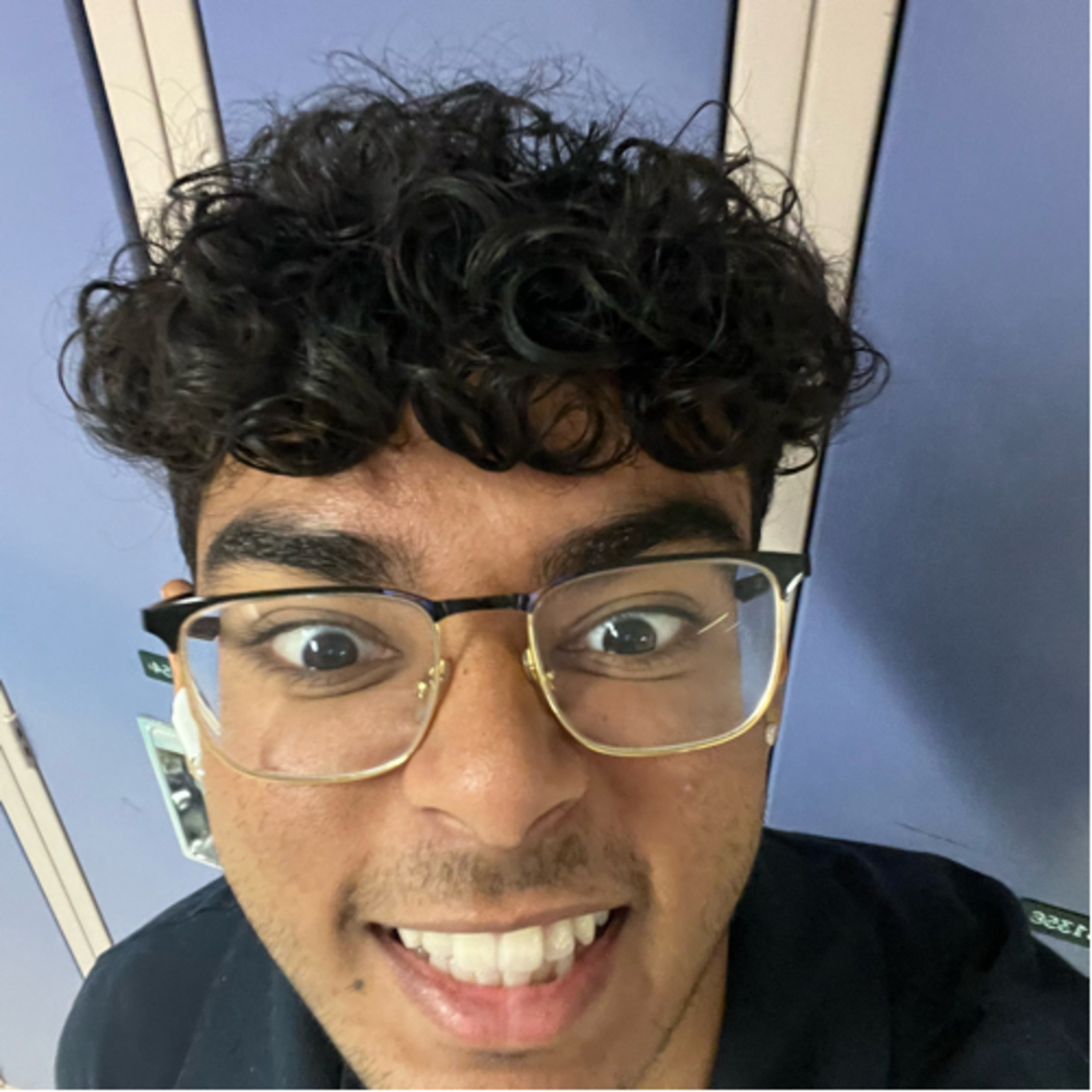 True love assignment