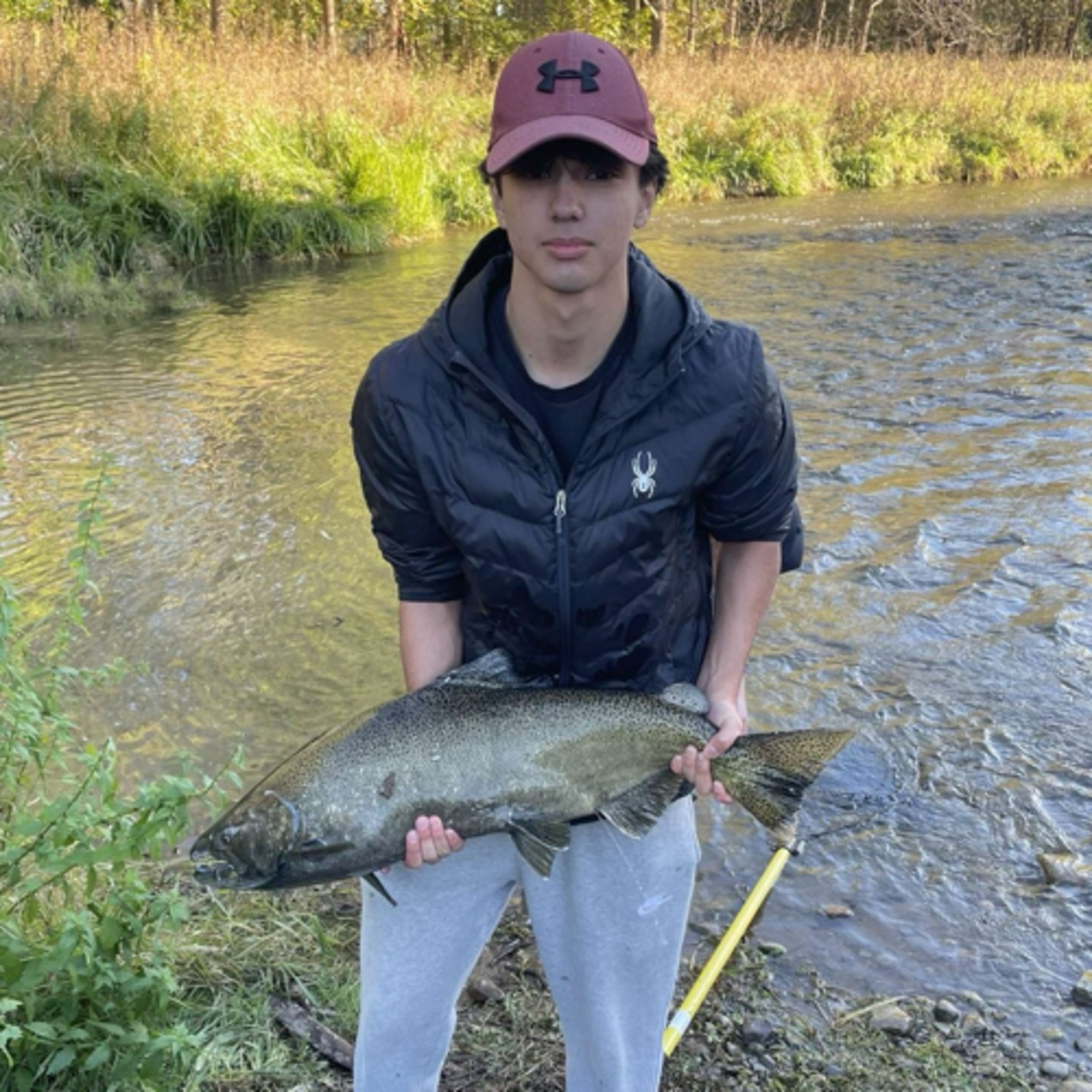 True love assignment