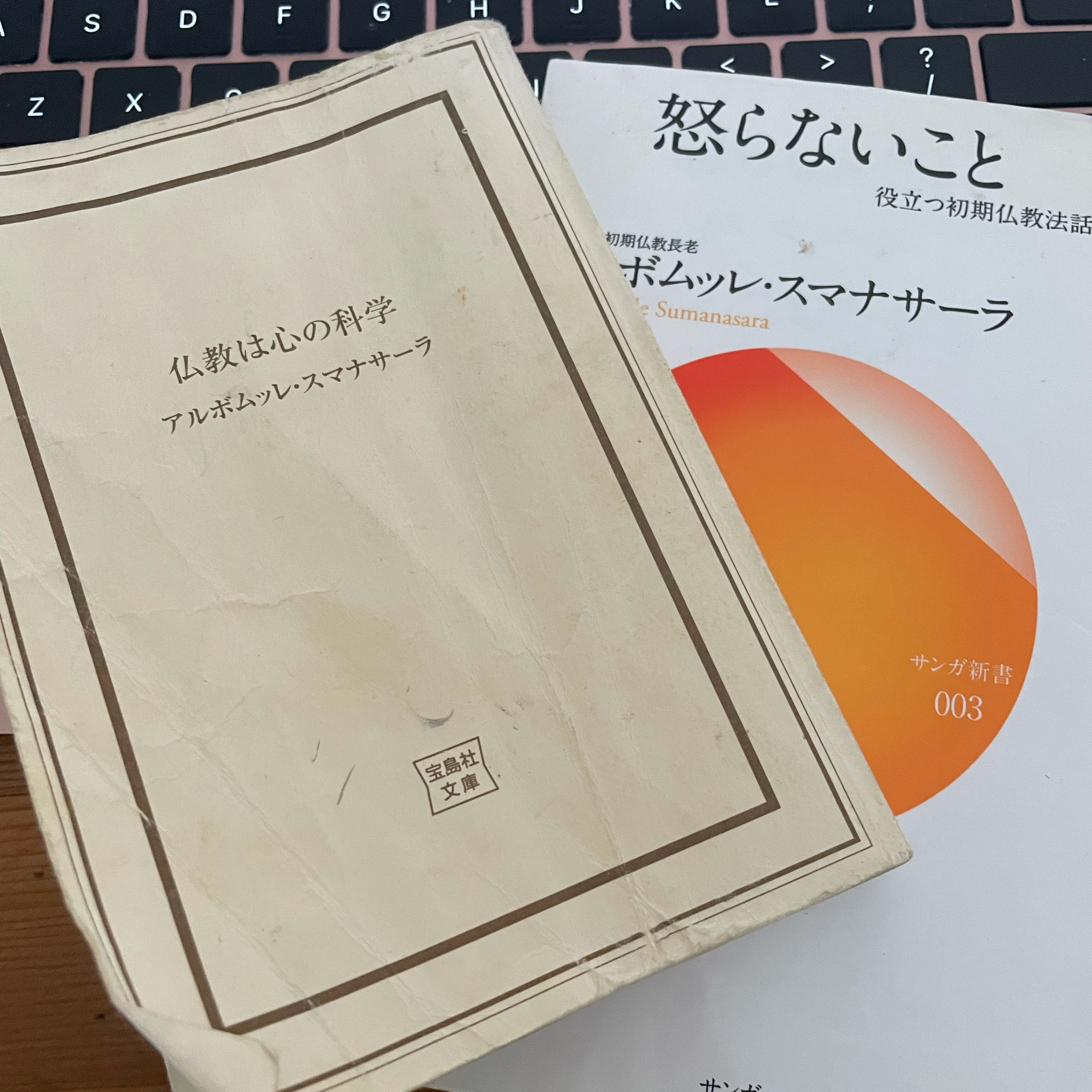 仏教のおける人生は苦であるの結論 episode artwork