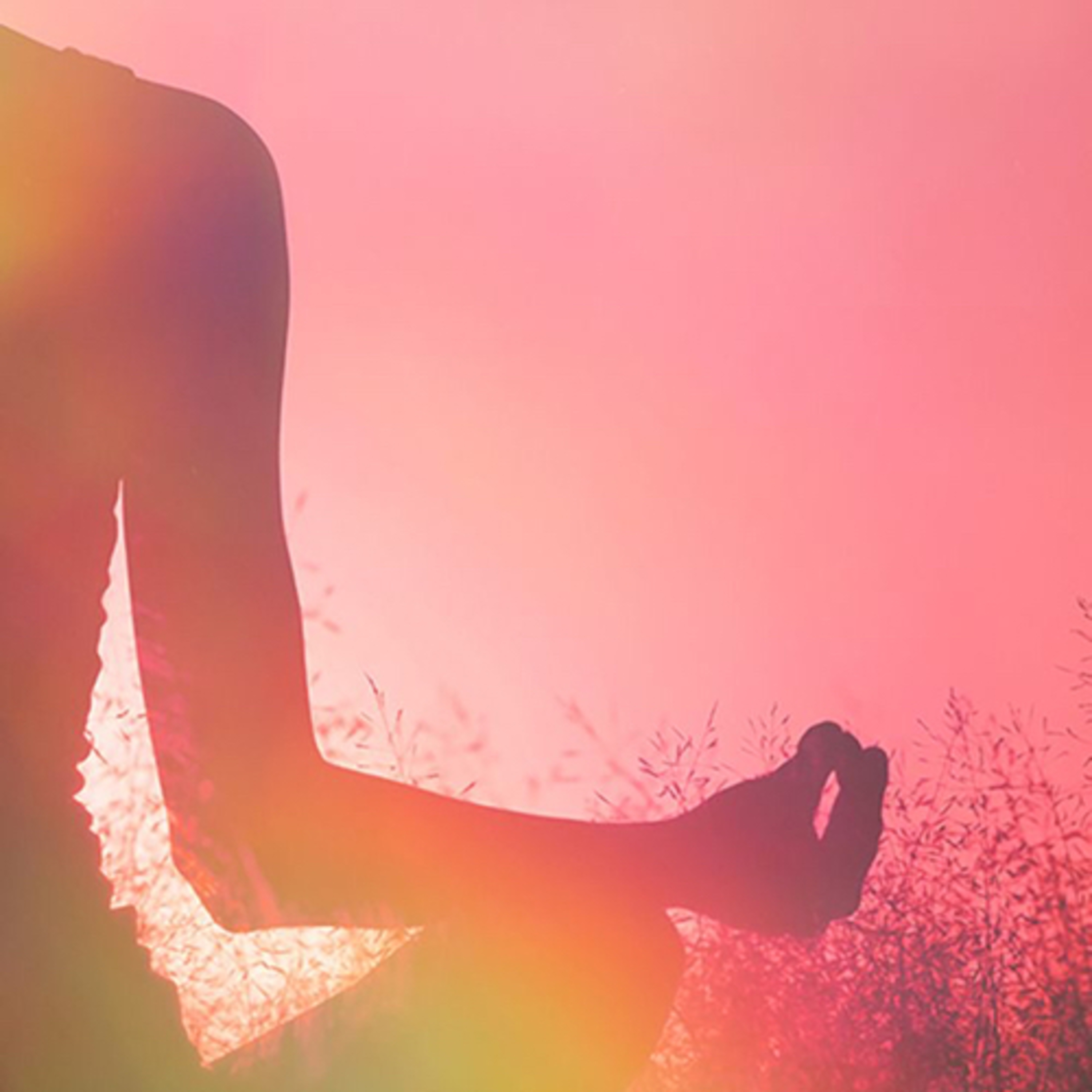 Tehxi(तहक्षी) the Durga