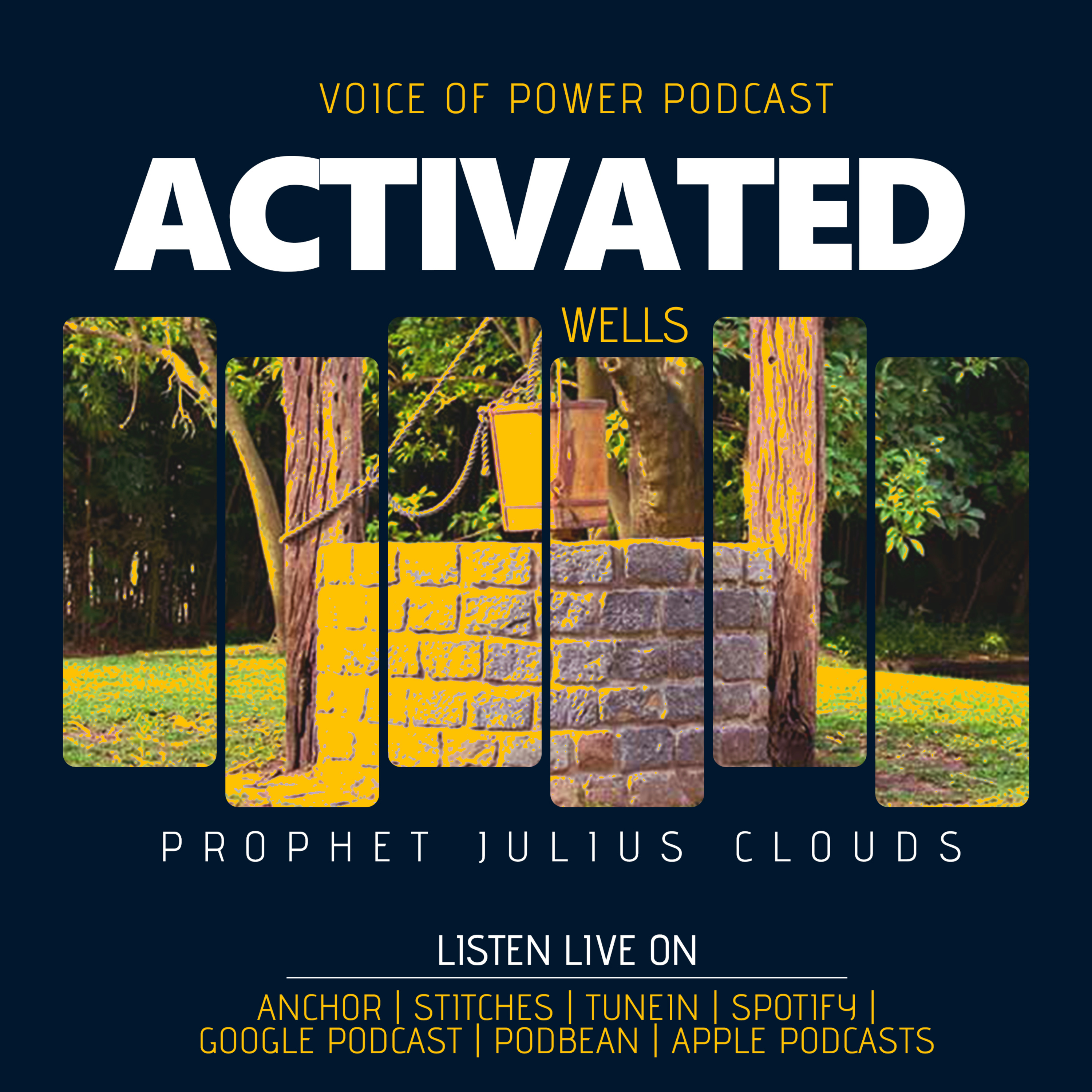 ACTIVATED WELLS BY PROPHET JULIUS CLOUDS episode artwork