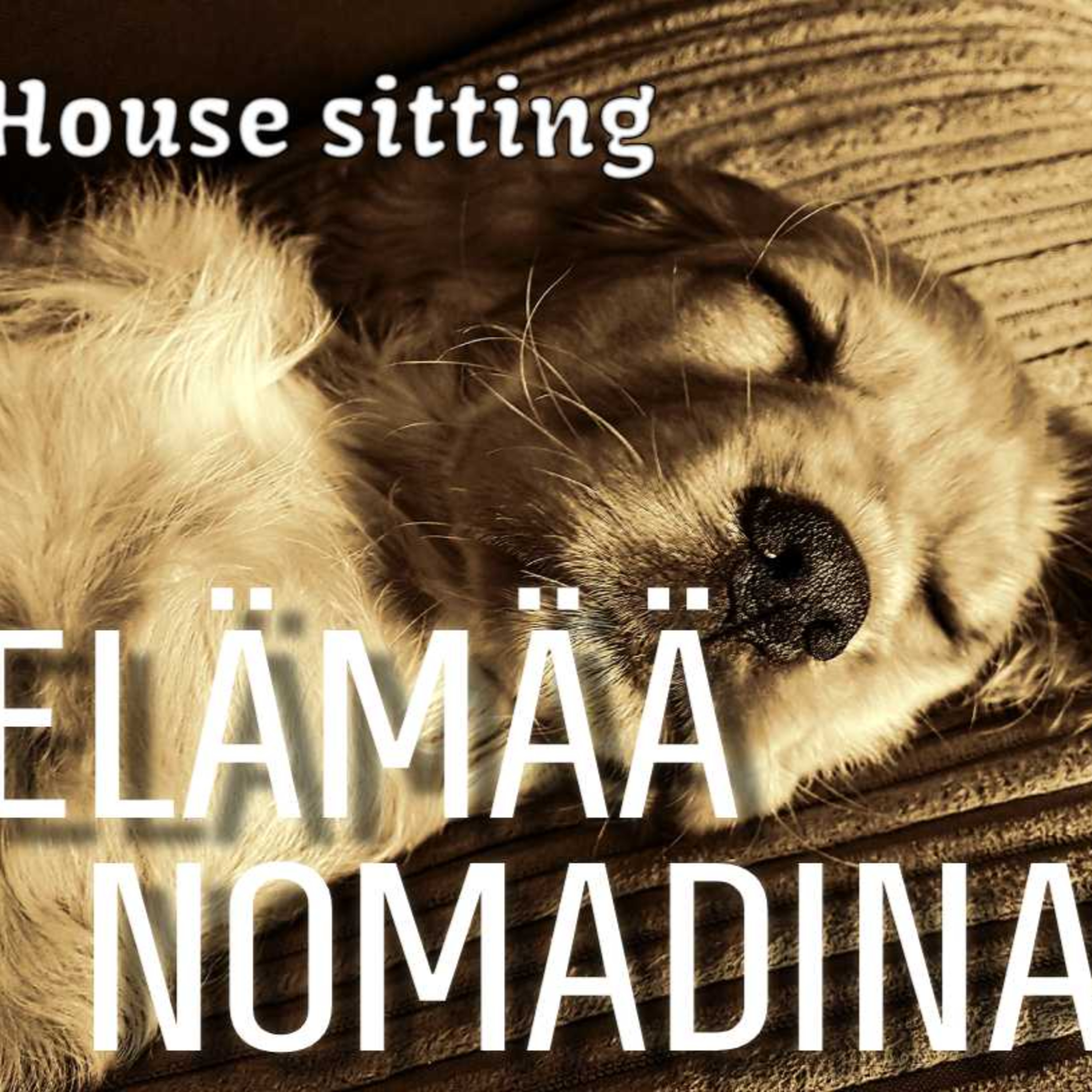 Missä nomadit majailee? episode artwork