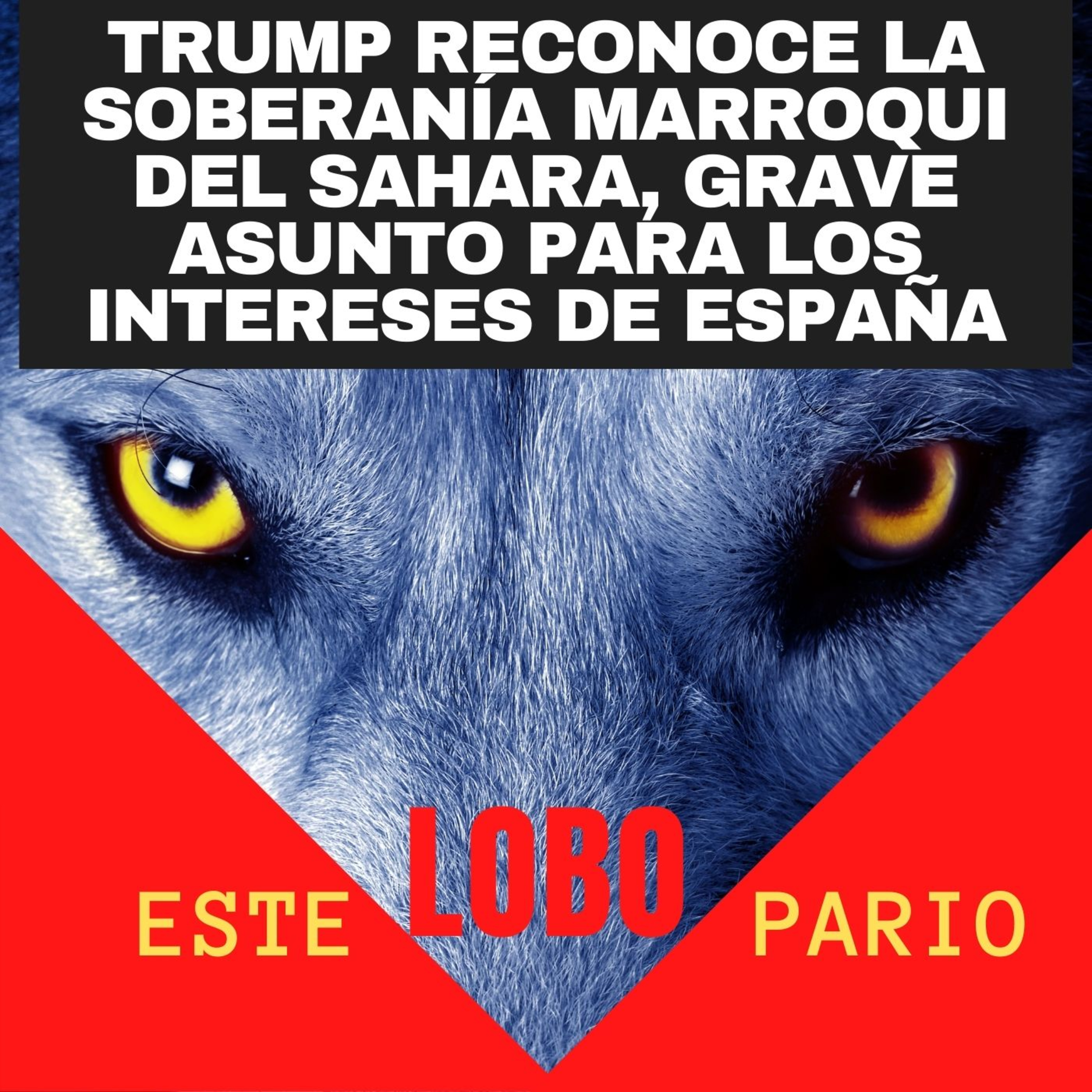 EsteLOBOpario