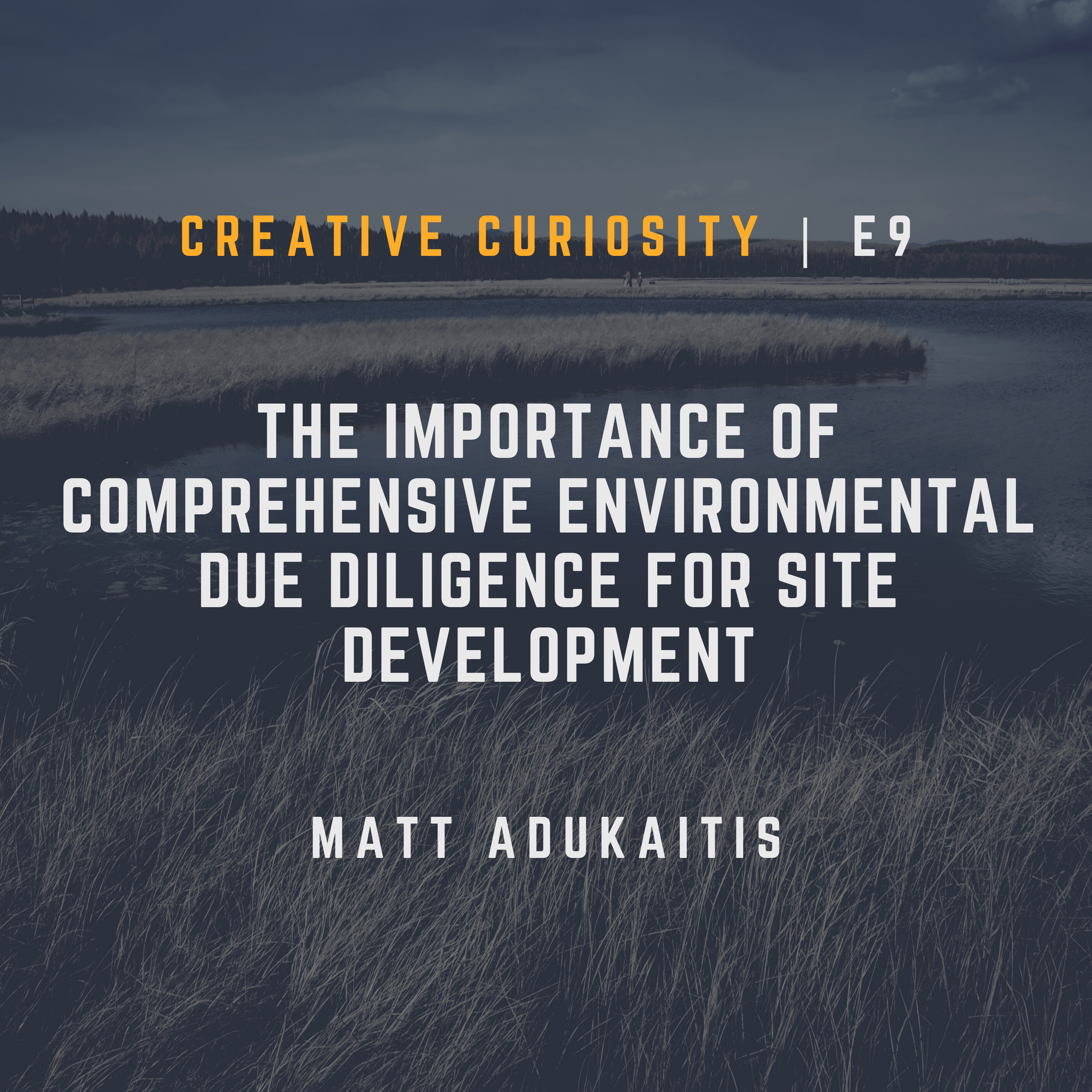 Creative Curiosity: Dynamic Discussions on Insights and Innovation.