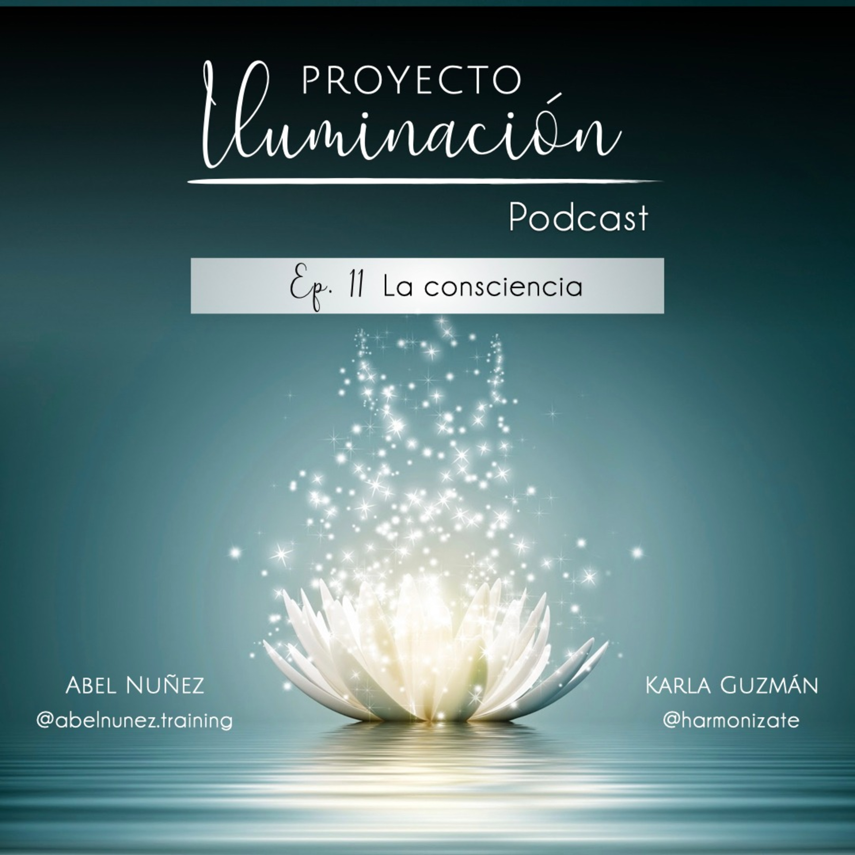 Proyecto Iluminación