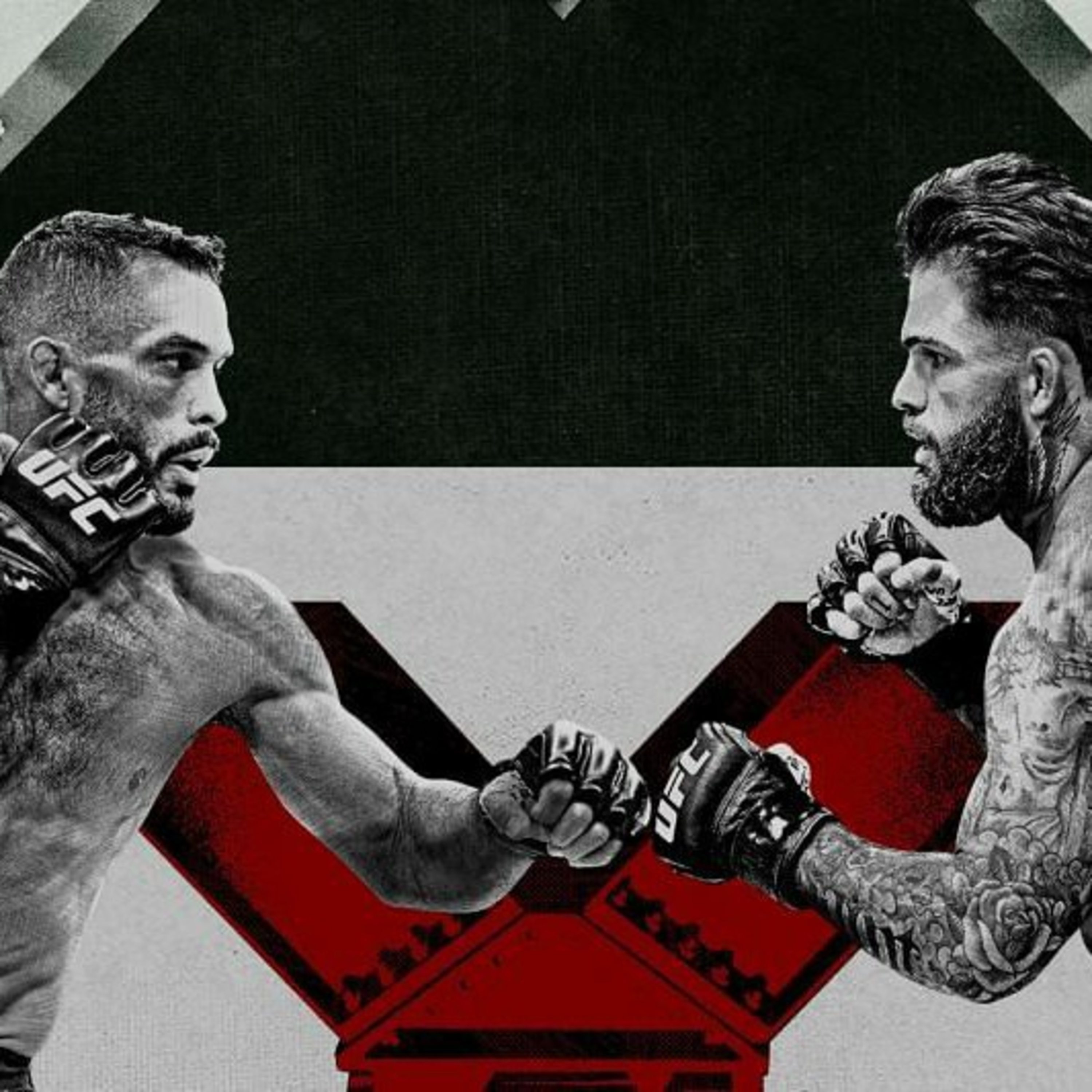 S1:E9 Bantamweight Title Eliminator episode artwork