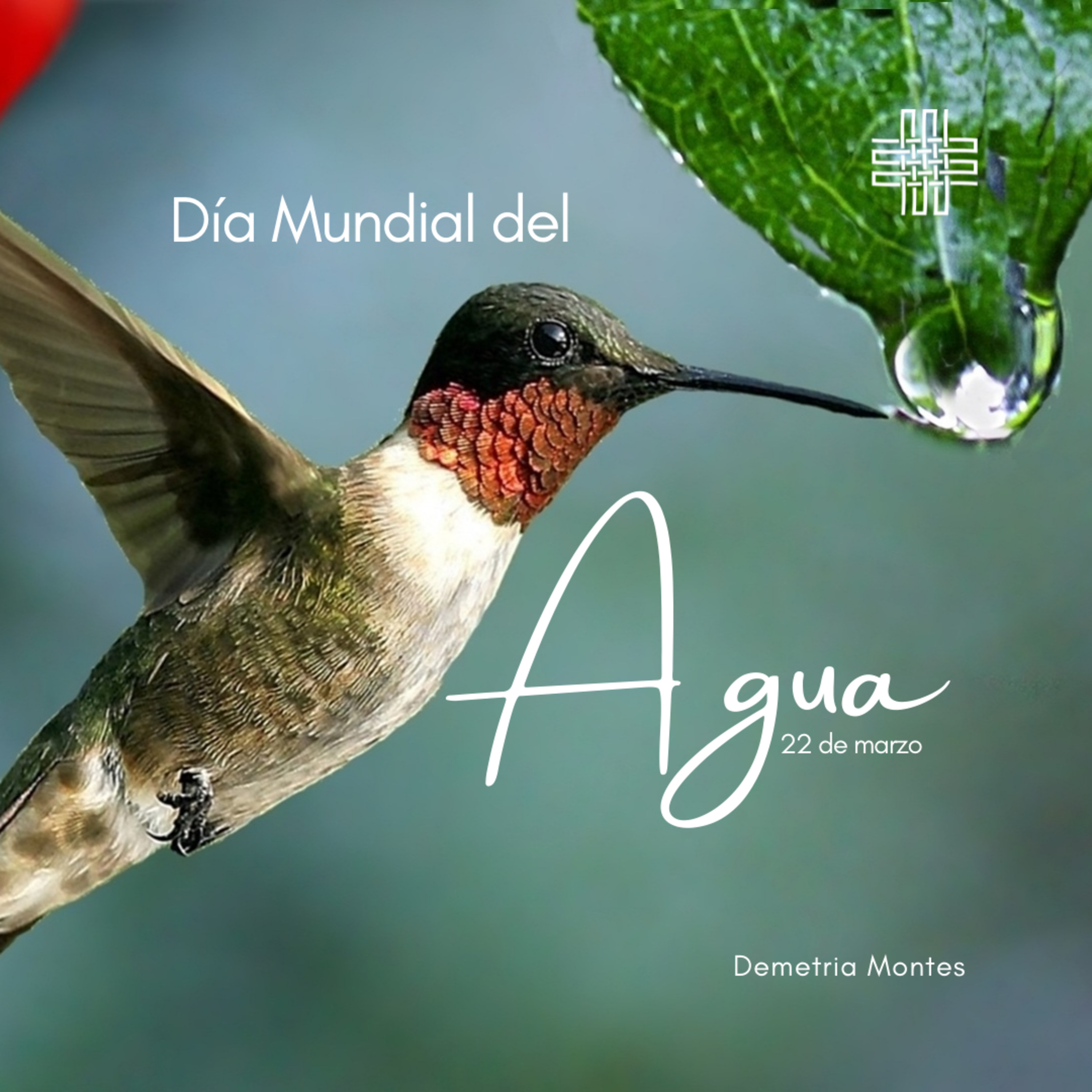 🌎 60 segundos por la creación: 💧Día Mundial del Agua episode artwork