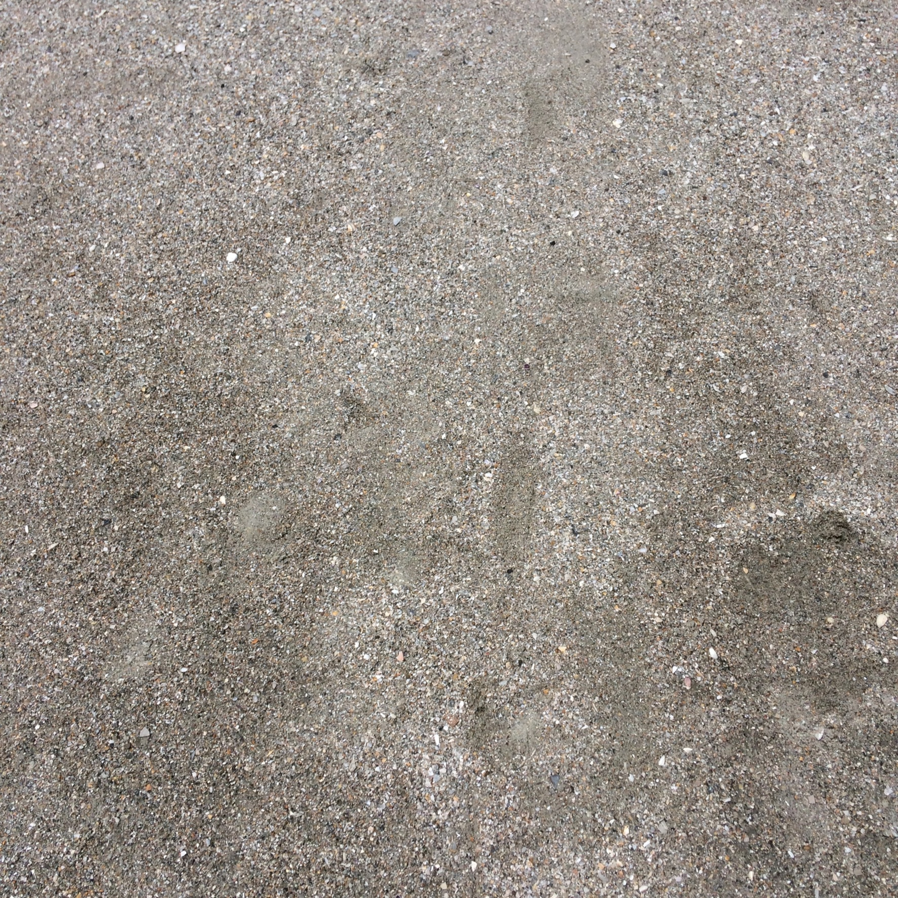A walk with Jesus