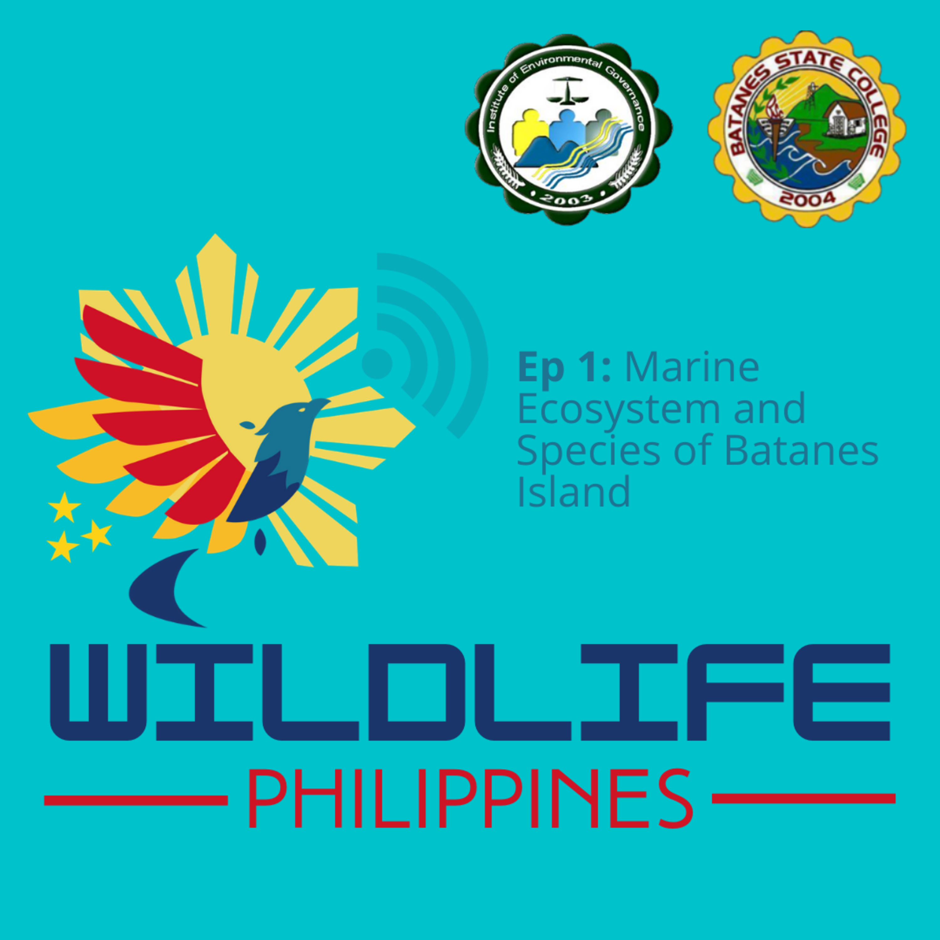 Wildlife Philippines
