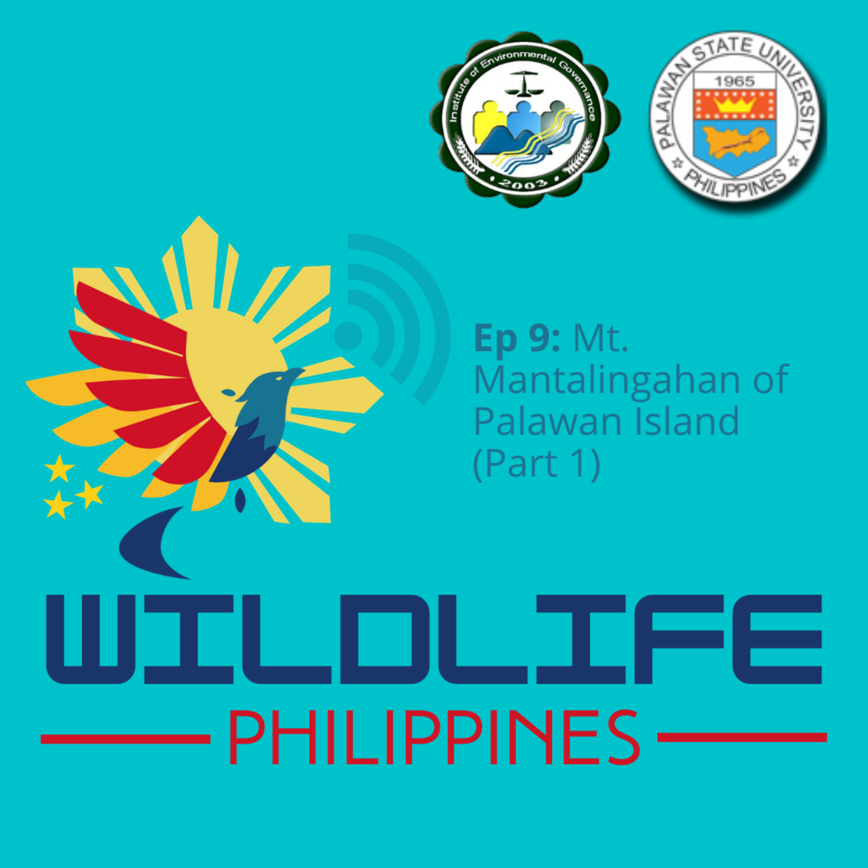 Wildlife Philippines