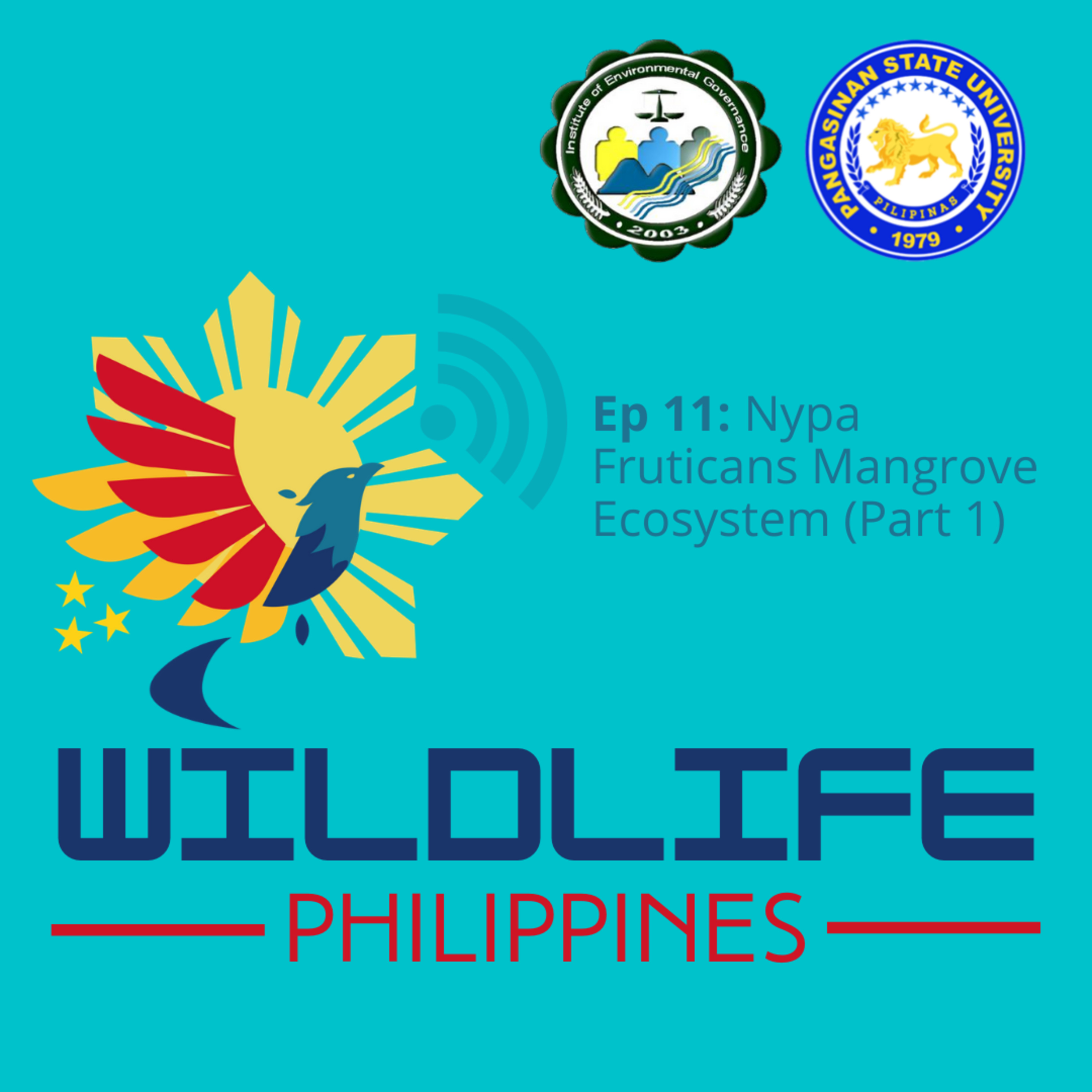Wildlife Philippines