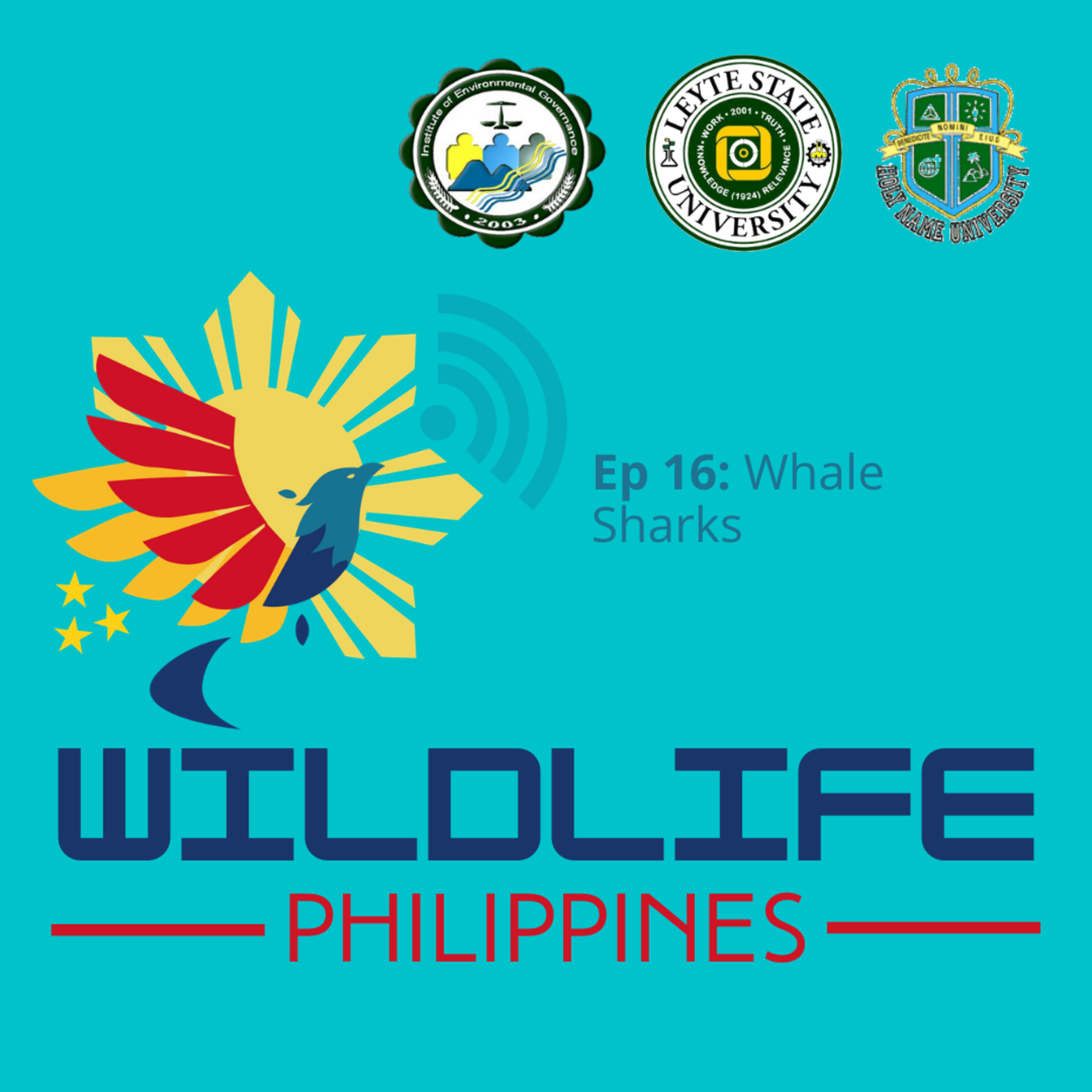 Wildlife Philippines
