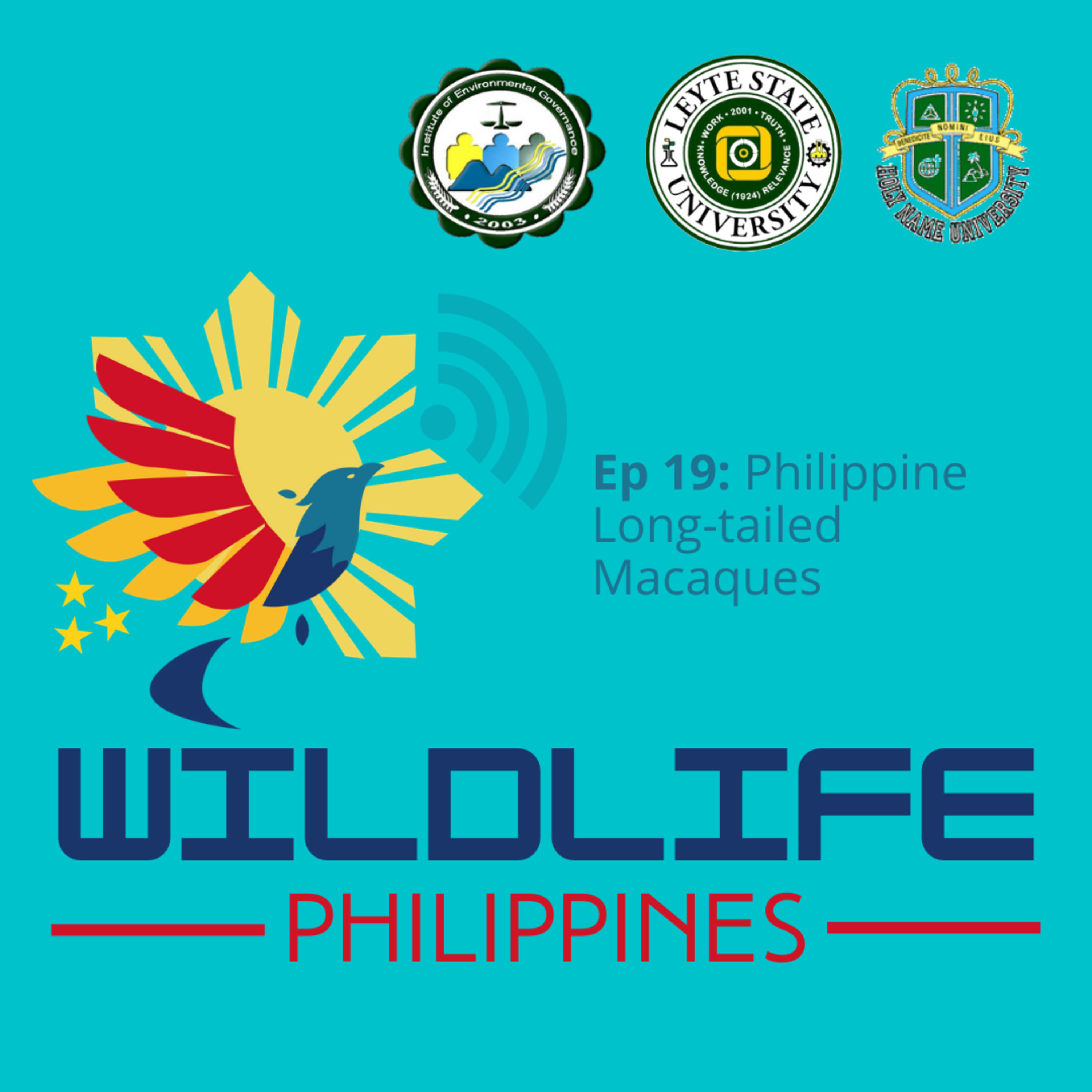 Wildlife Philippines