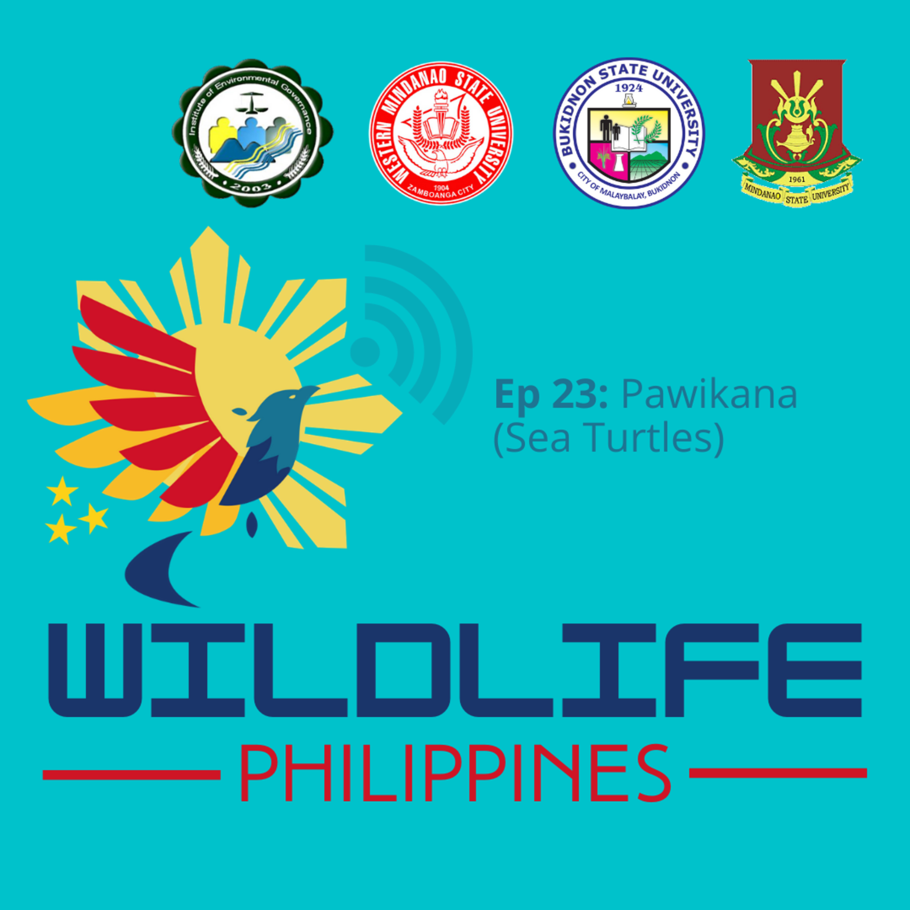 Wildlife Philippines