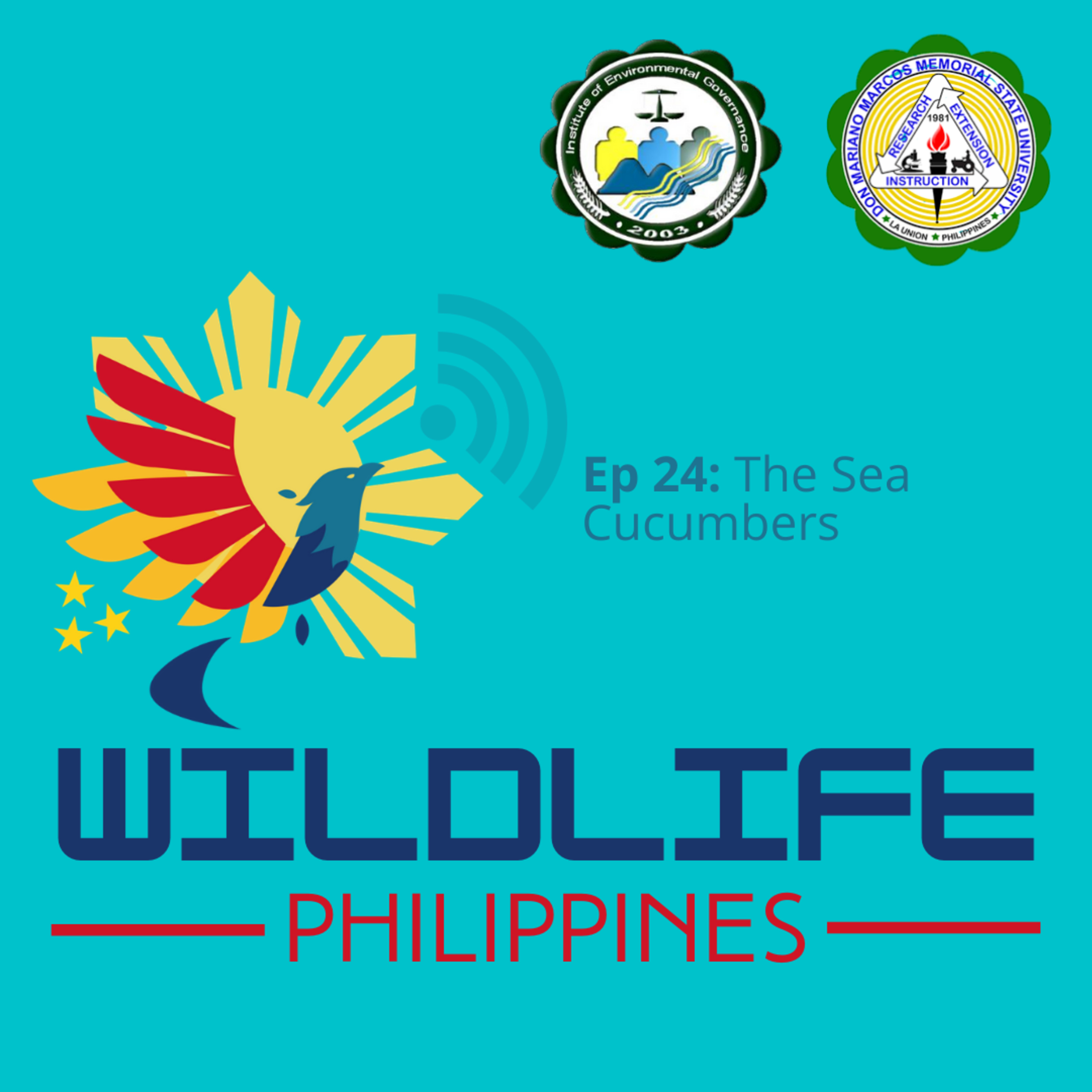 Wildlife Philippines
