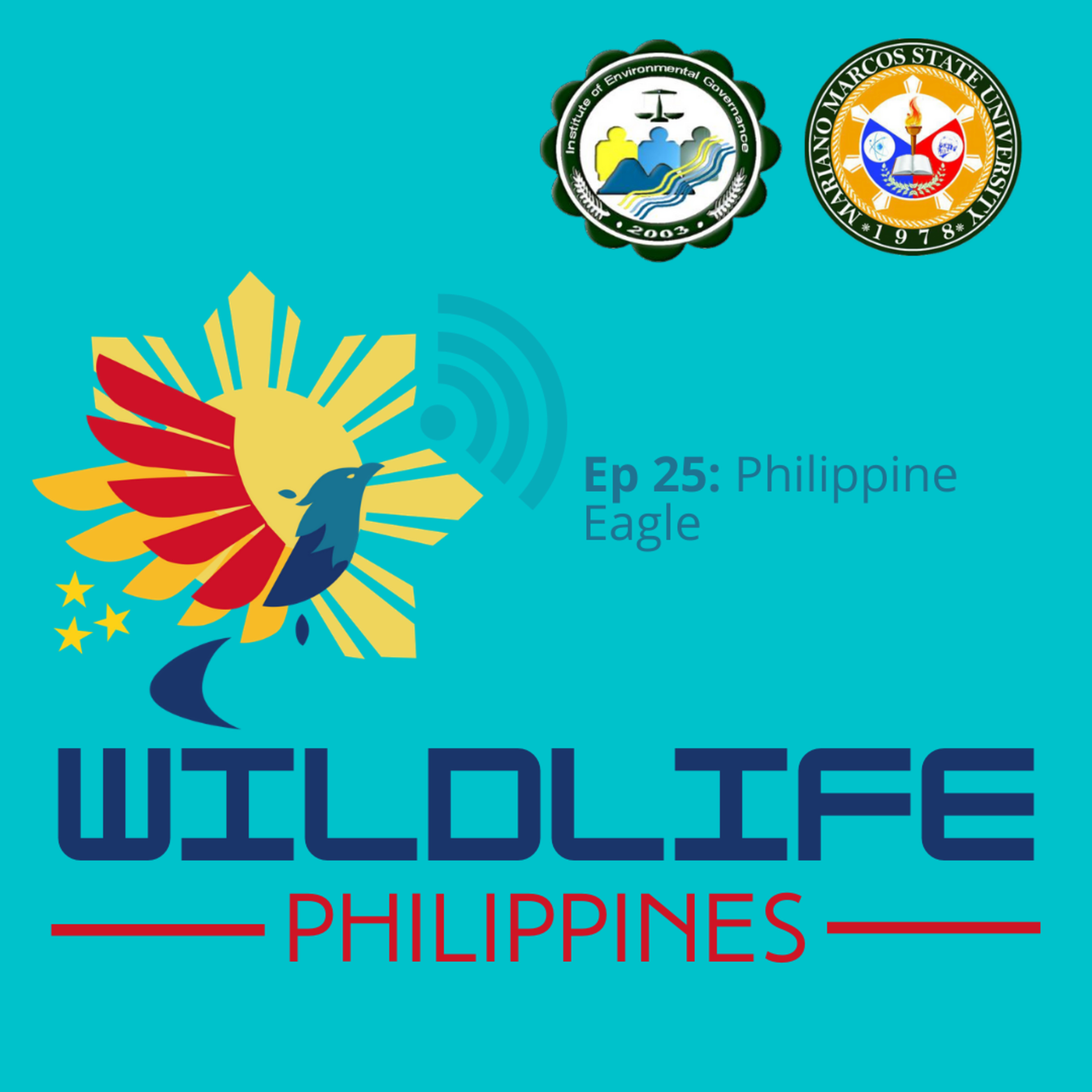 Wildlife Philippines